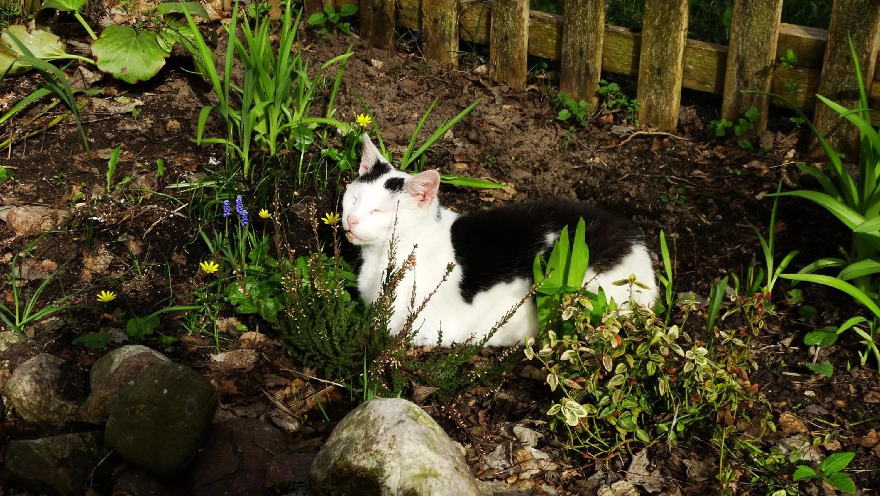 Spring in Dom na Mazurach Pilec