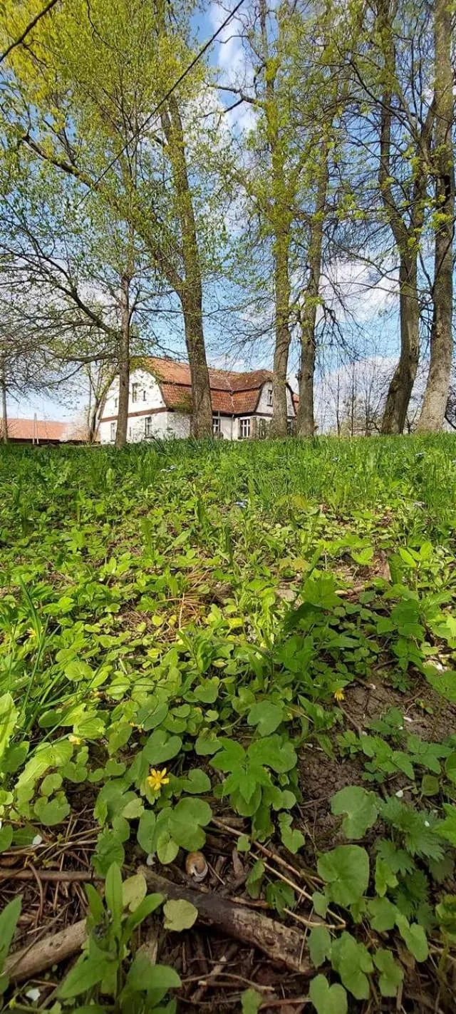 Property building in Dom na Mazurach Pilec