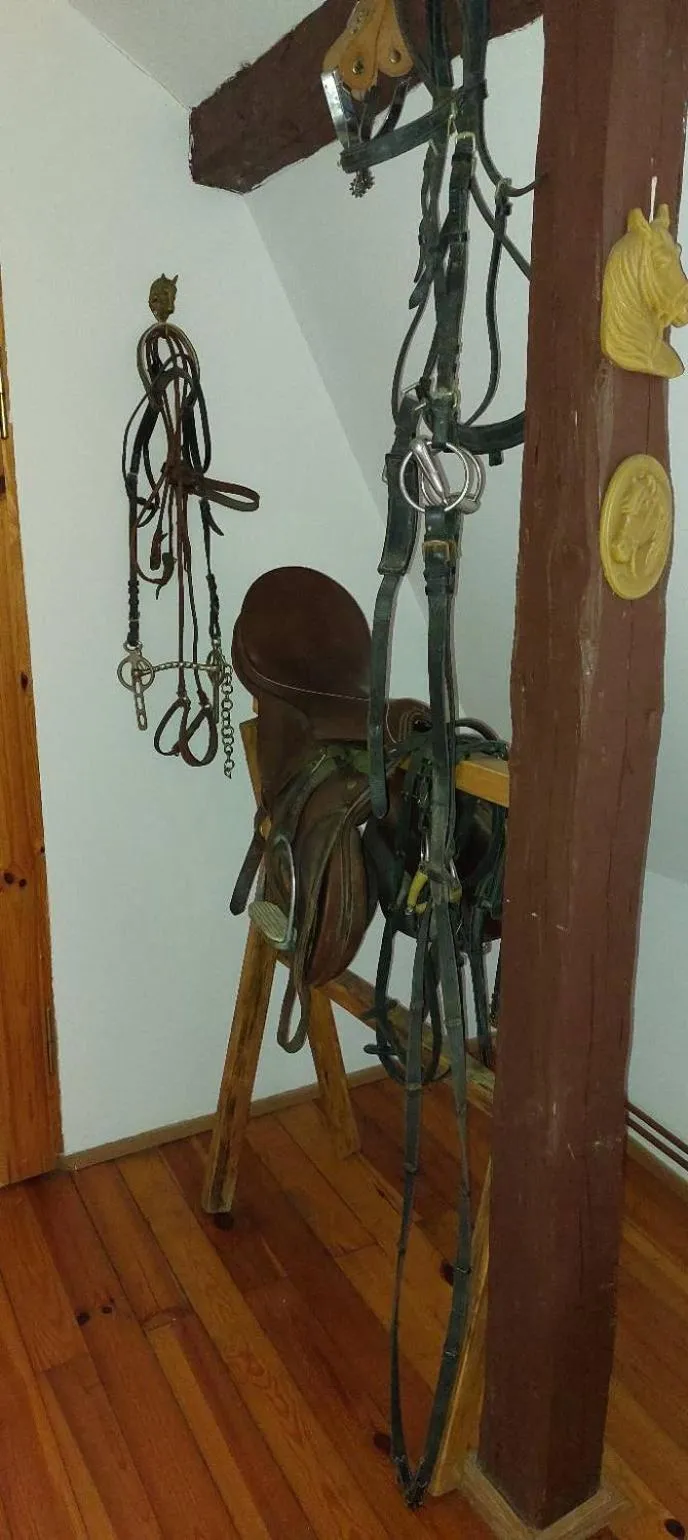 Other in Dom na Mazurach Pilec