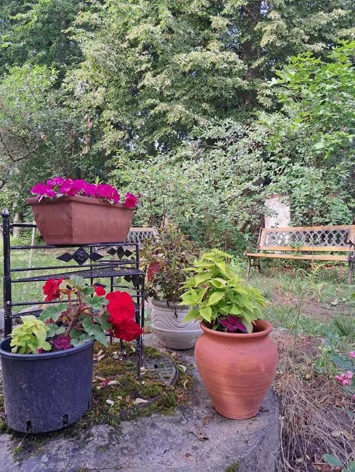 Spring in Dom na Mazurach Pilec