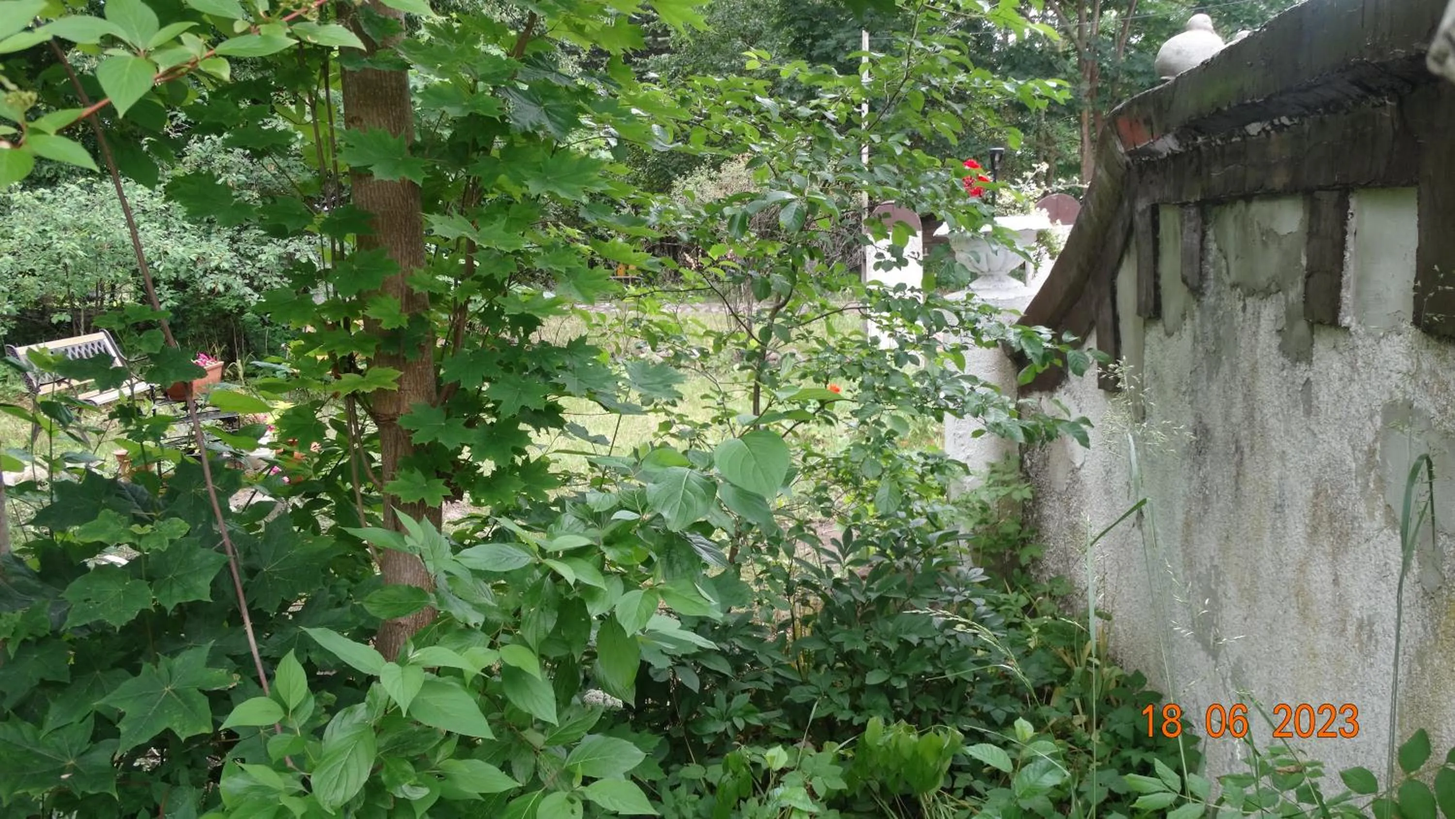 Property building in Dom na Mazurach Pilec