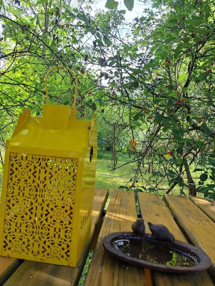 Spring in Dom na Mazurach Pilec