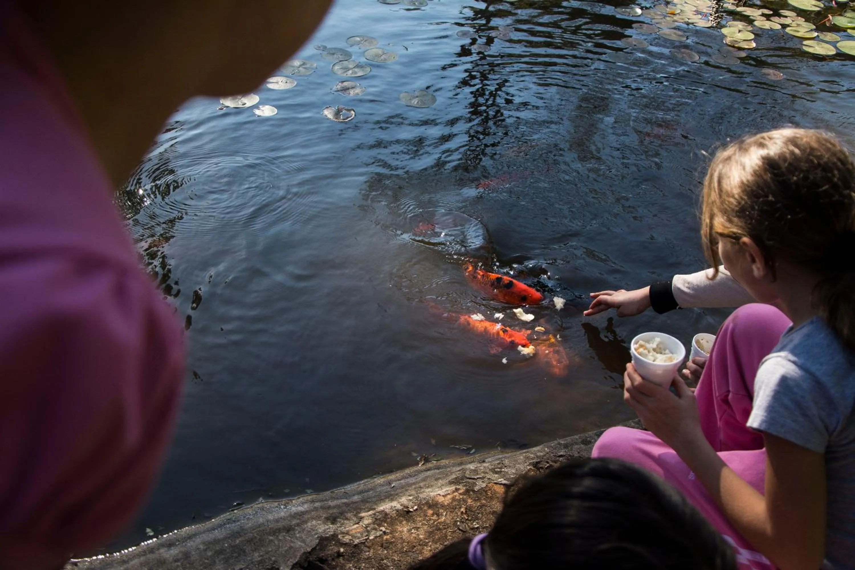 Garden in Iguazú Grand Resort Spa & Casino