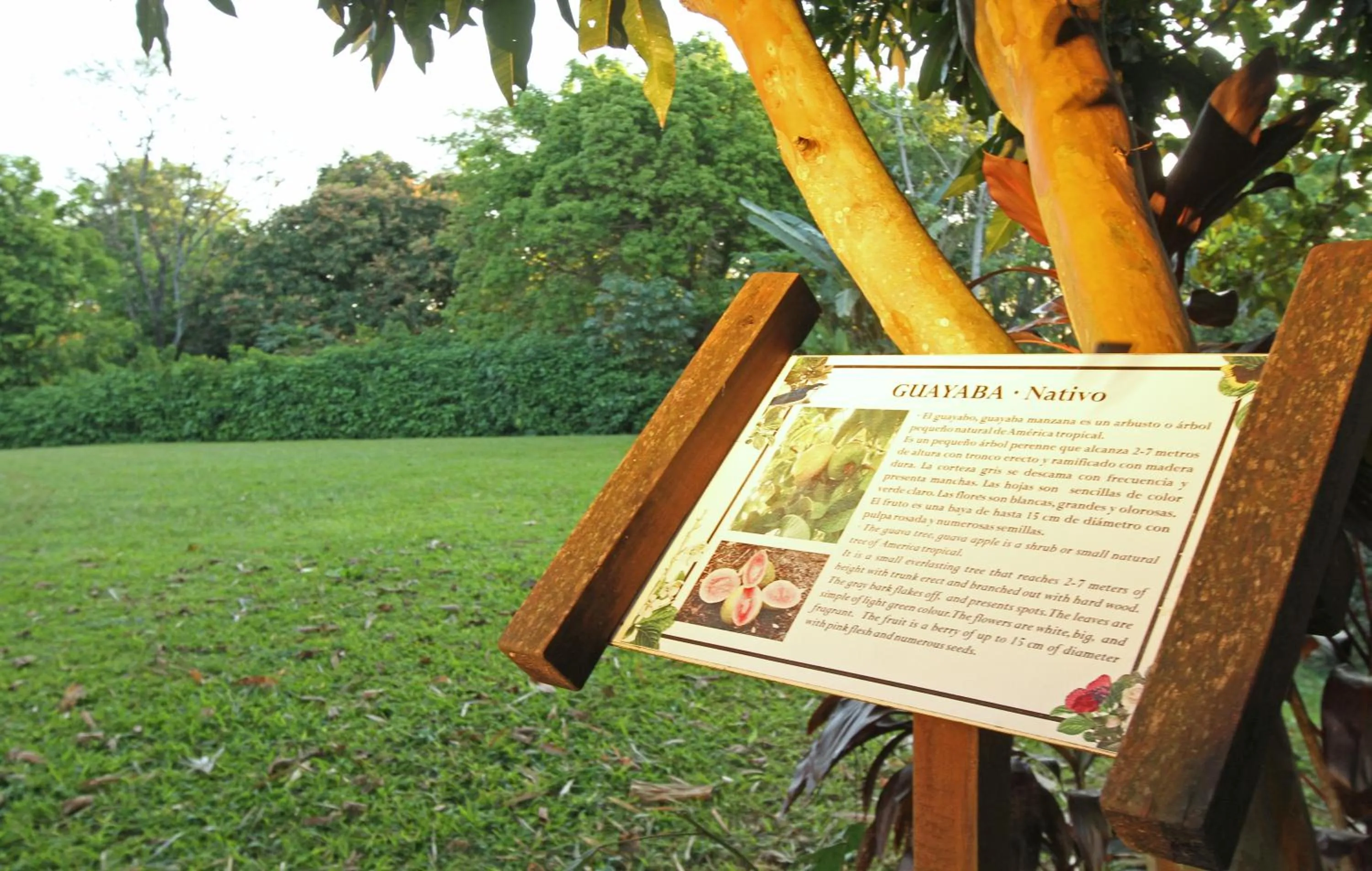 Decorative detail in Iguazú Grand Resort Spa & Casino