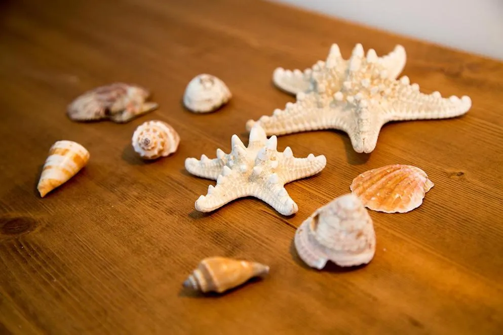 Decorative detail in B&B Kolors