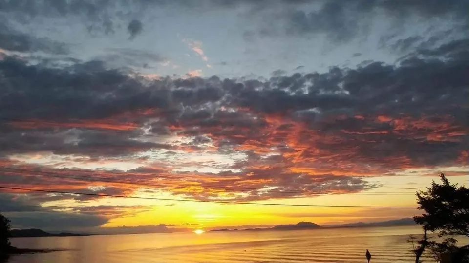 Natural landscape in The Surf Lodge and Pub