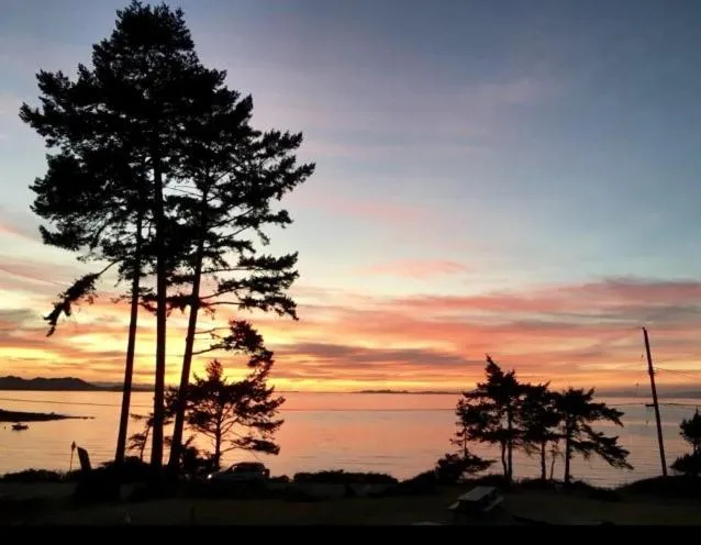 Natural landscape in The Surf Lodge and Pub