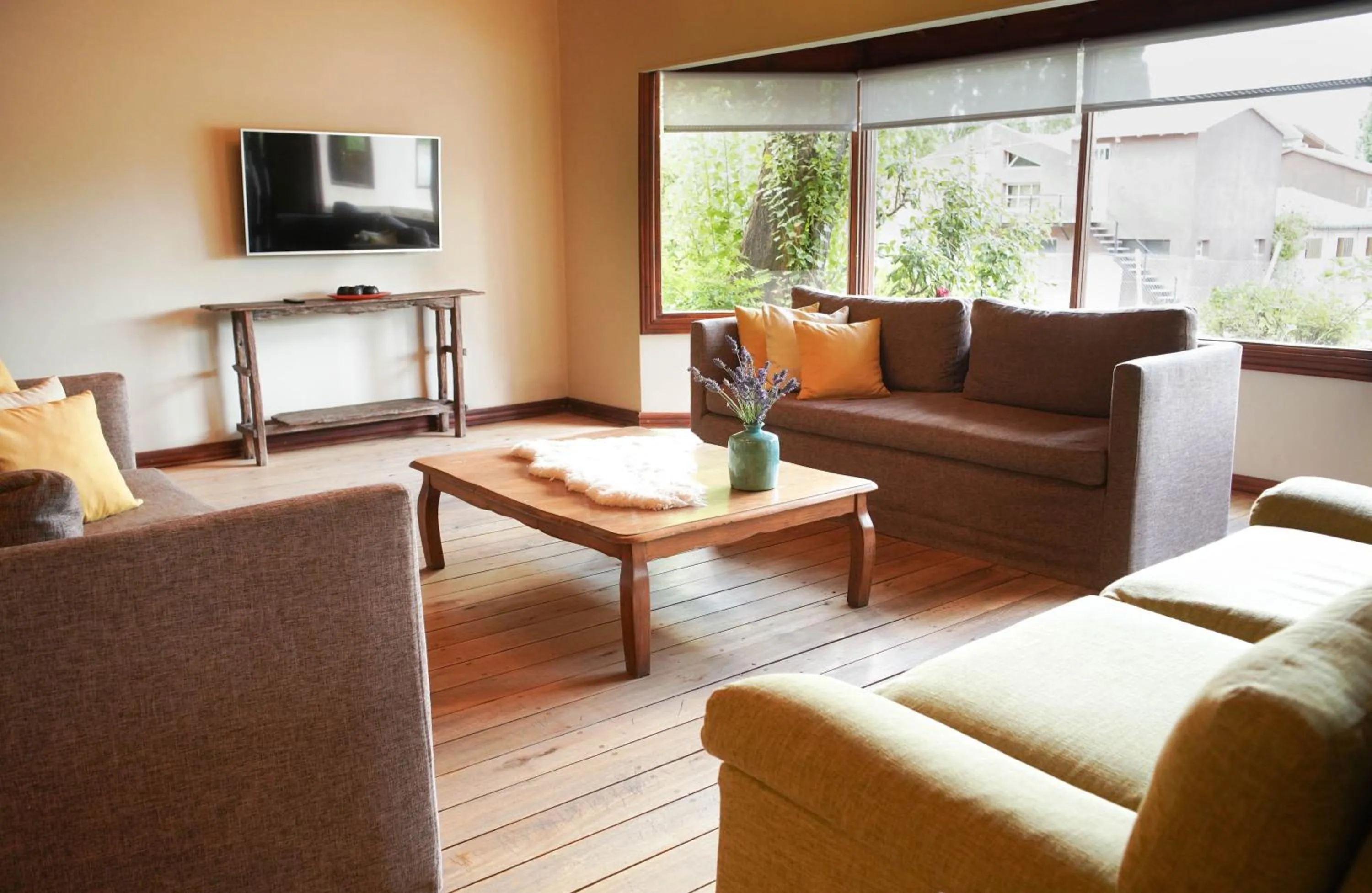 Living room in Rincón del Calafate