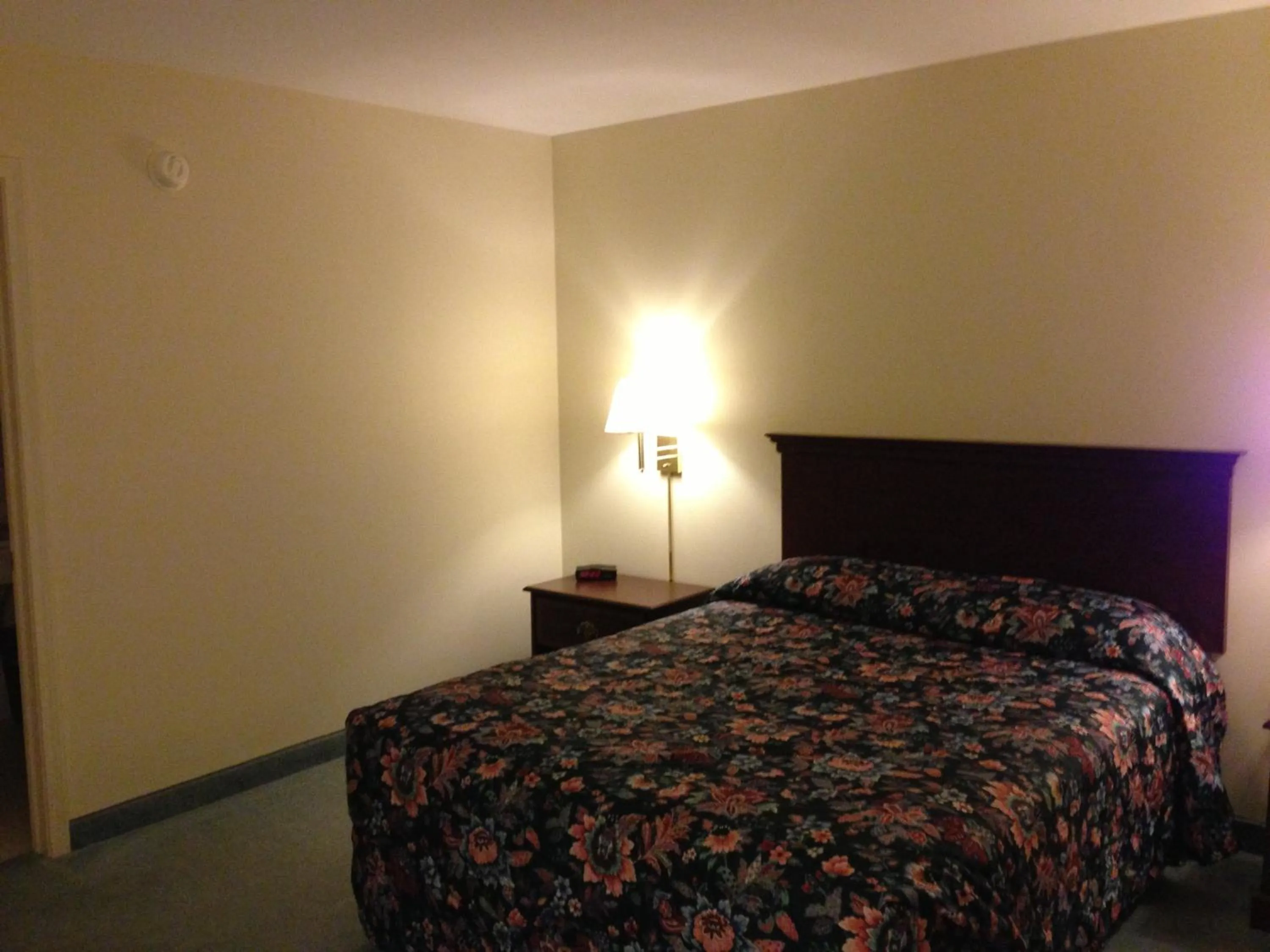 Photo of the whole room, Bed in The Falls Motel
