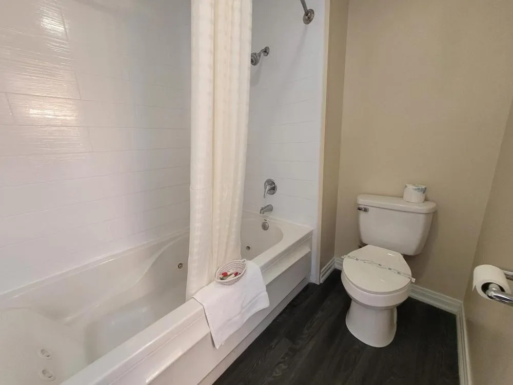 Bathroom in The Falls Motel - 2 Mi to " Watkins Glen State Park, Seneca Lake " AND 4 Mi to Watkins Glen International Track " The Glen "