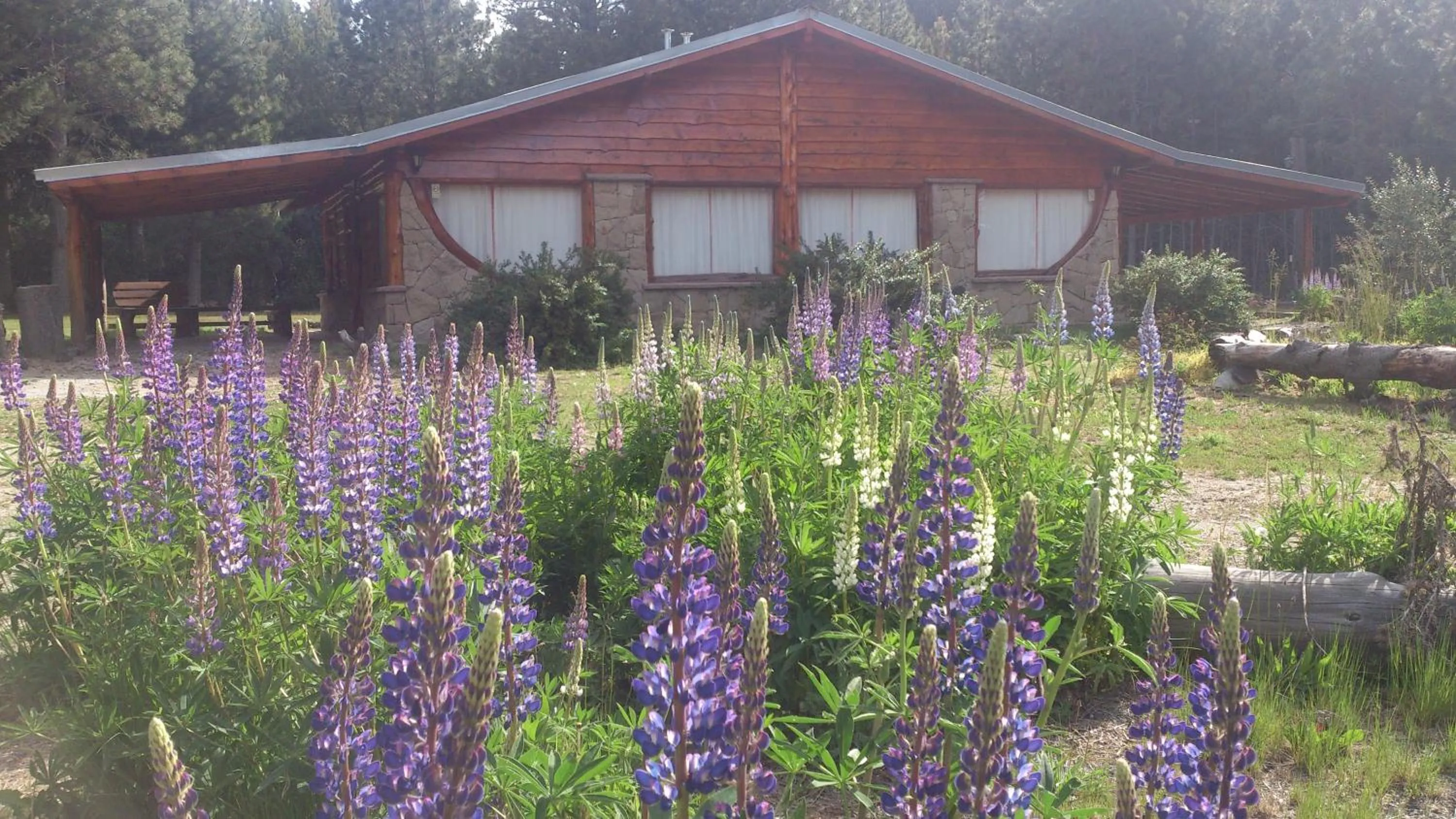 Area and facilities in Posada del Angel