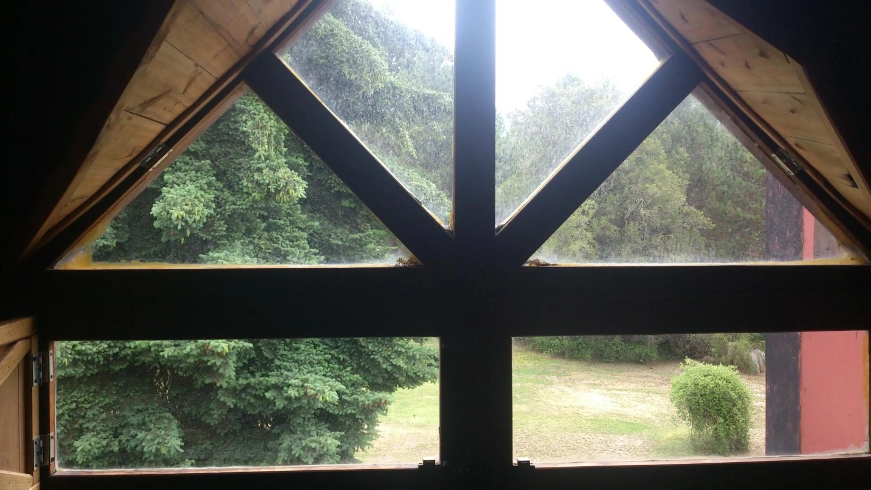 Garden view in Posada del Angel