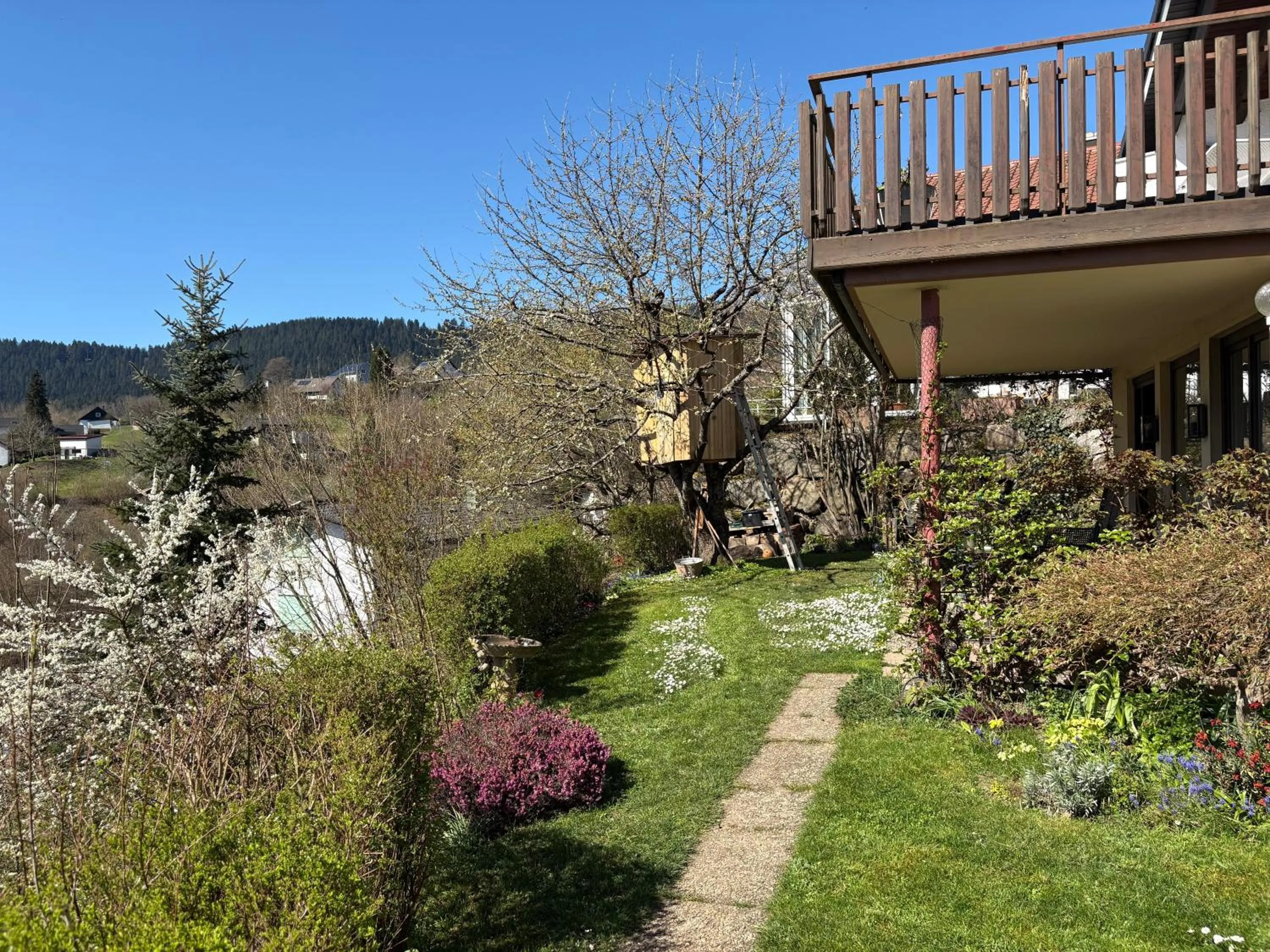 Property building in Haus Höhneck