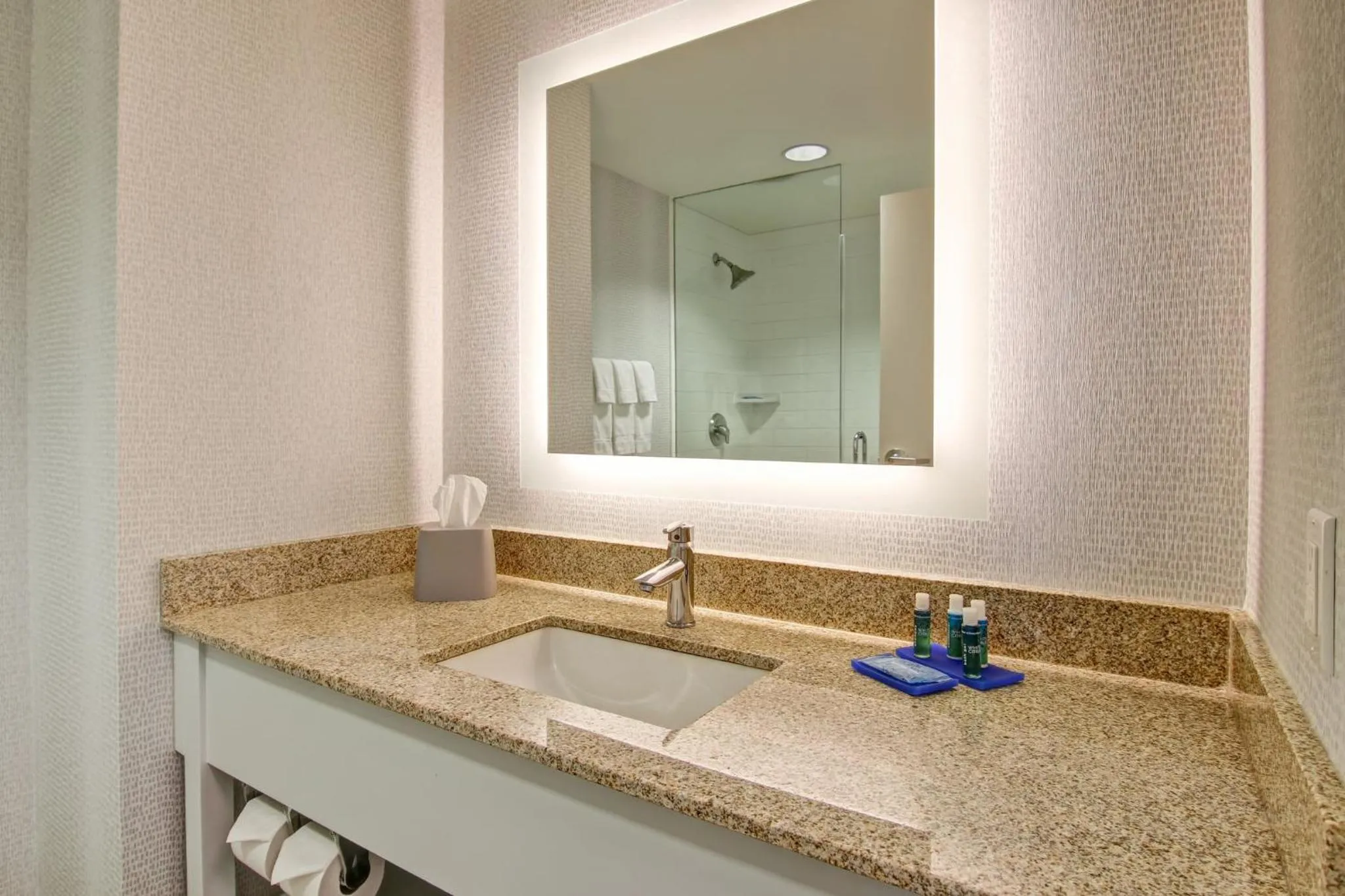 Bathroom in Holiday Inn Express Hotel & Suites Toronto - Markham by IHG