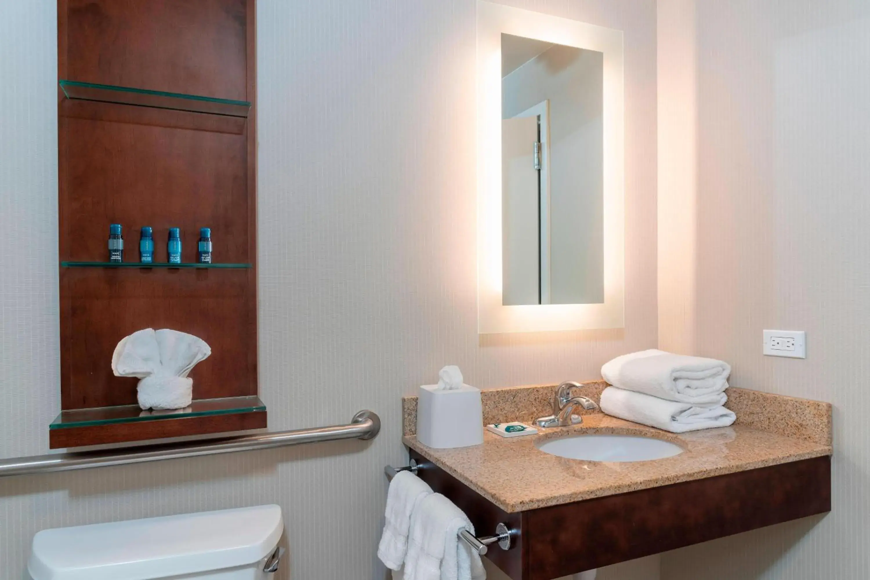 Standard, Guest room, 1 Queen (Mobility & Hearing Accessible w/ Tub) in Delta Hotels by Marriott Kalamazoo Conference Center Standard, Guest room, 1 Queen (Mobility & Hearing Accessible w/ Tub) in Delta Hotels by Marriott Kalamazoo Conference Center