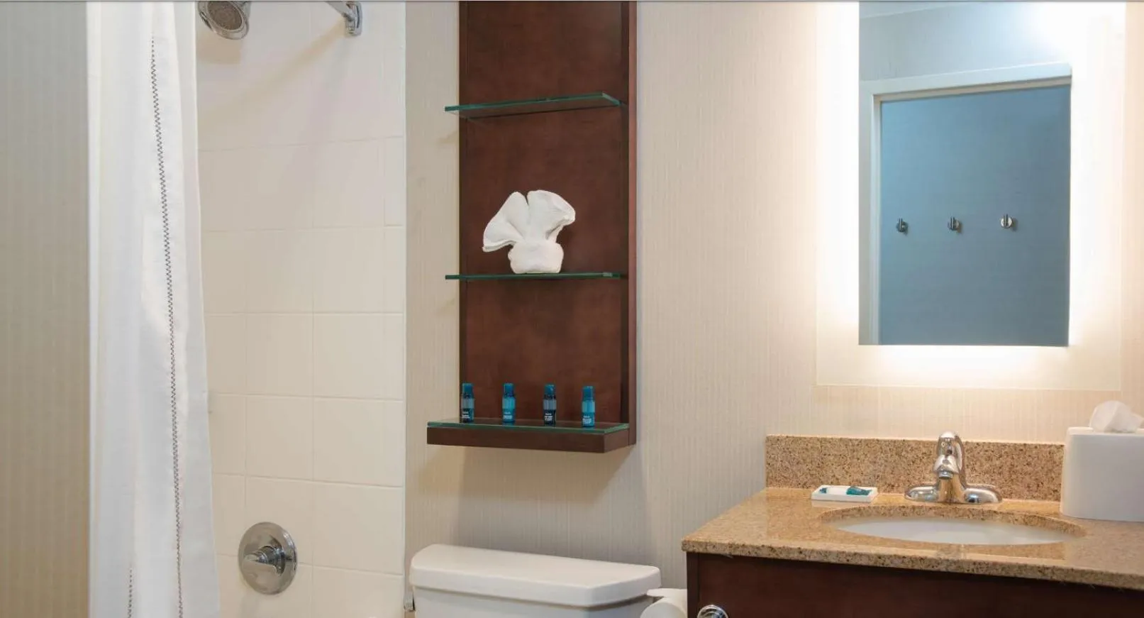 Bathroom in Delta Hotels by Marriott Kalamazoo Conference Center