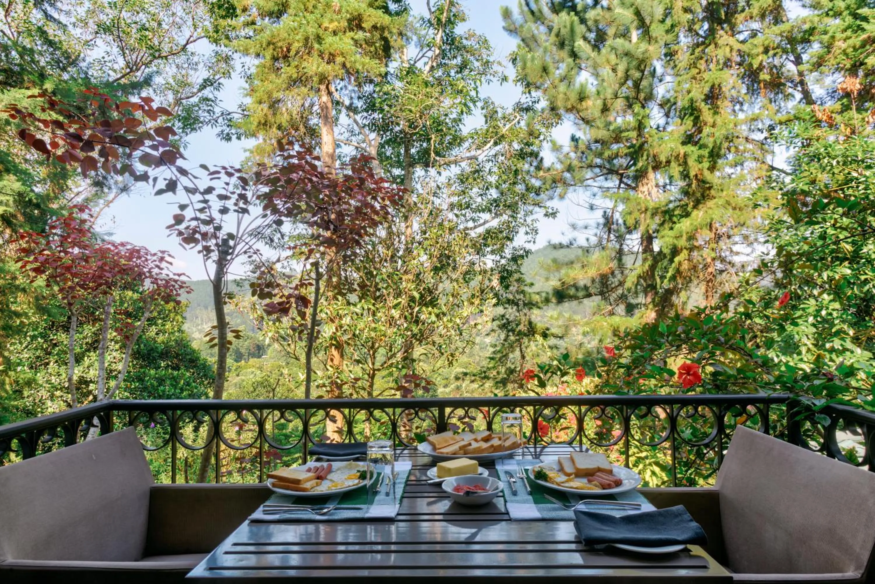 Natural landscape in Villa Republic Bandarawela (04 bedroom)