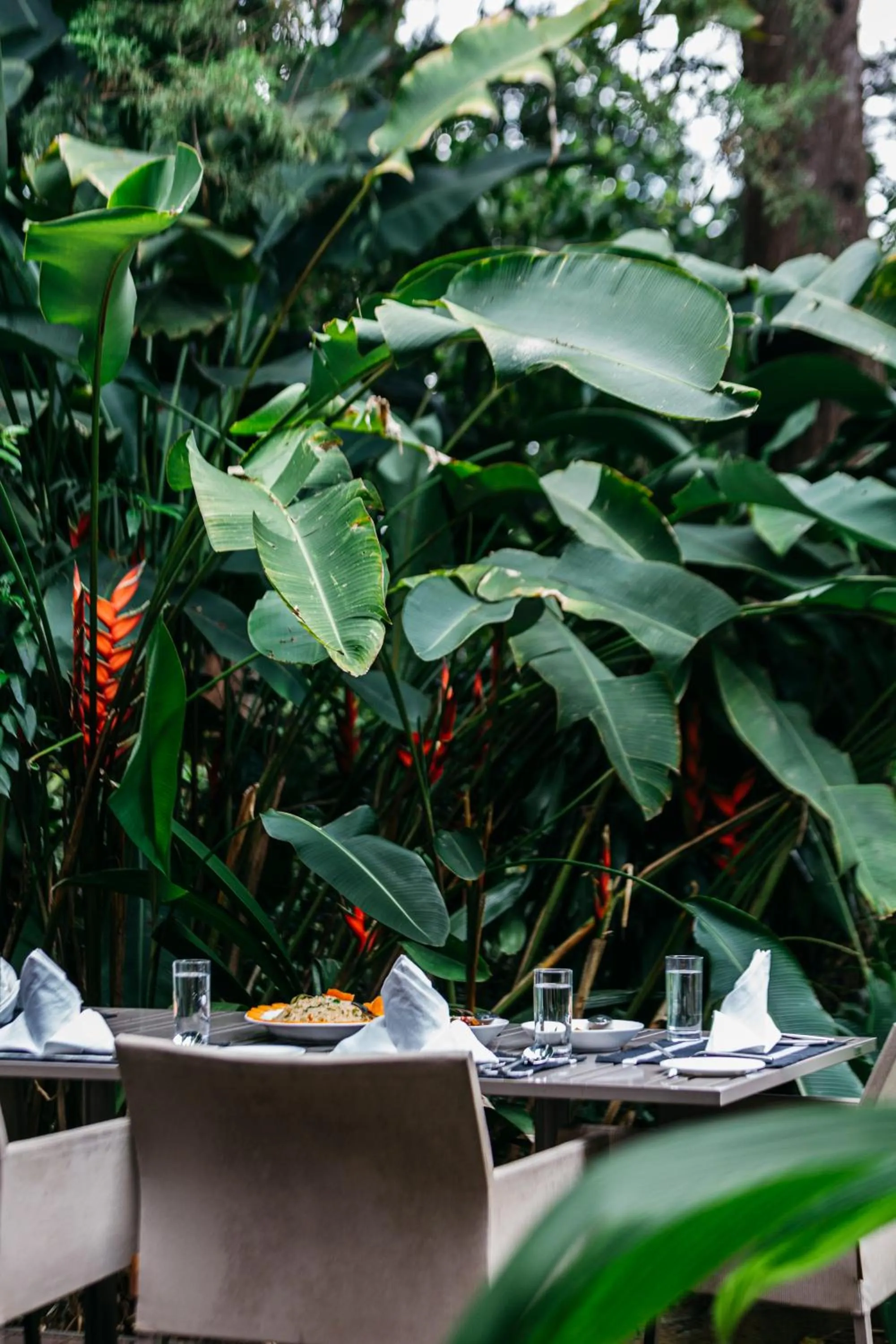 Villa Republic Bandarawela (04 bedroom)