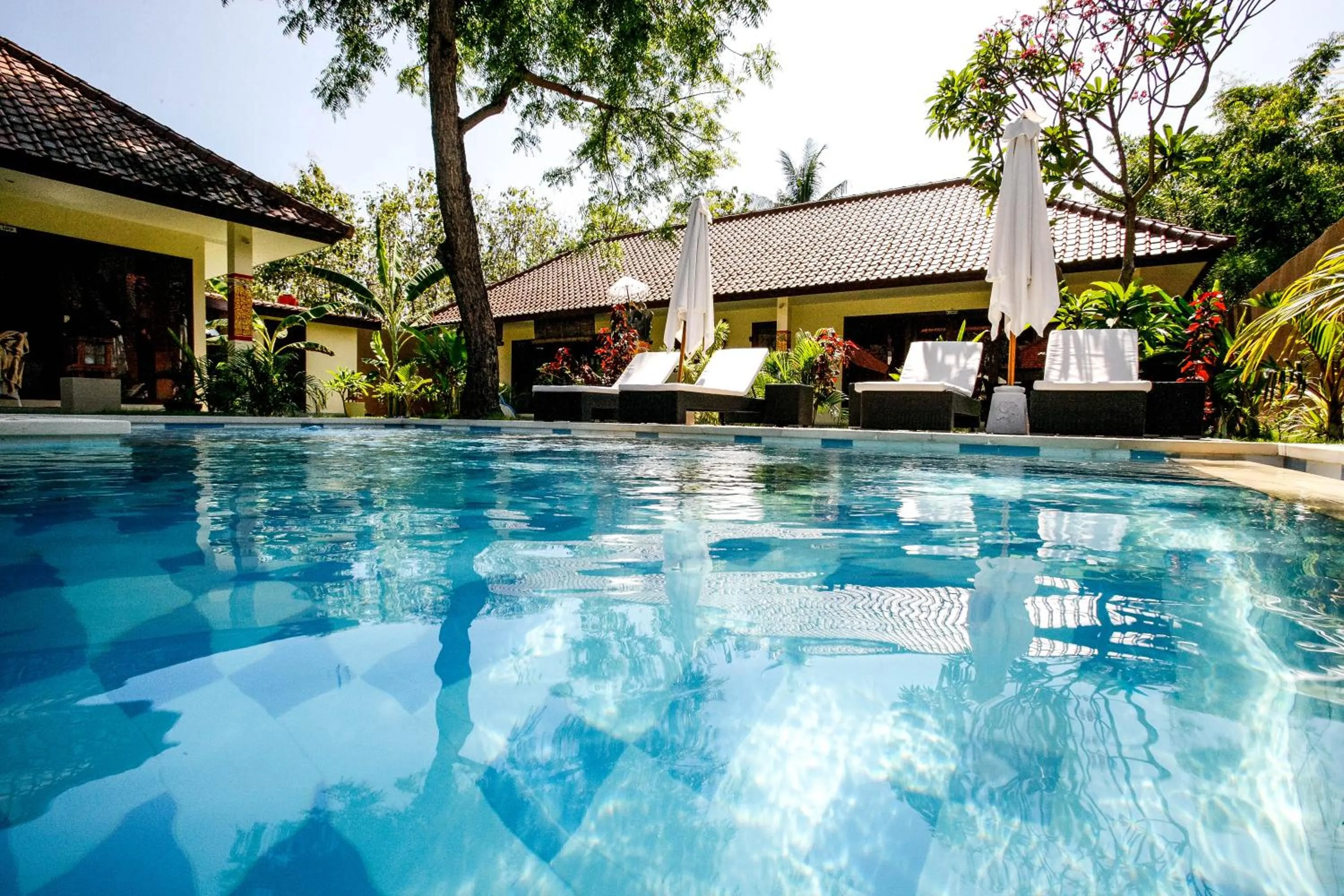 Pool view in Mimpi Nyata by Phocéa