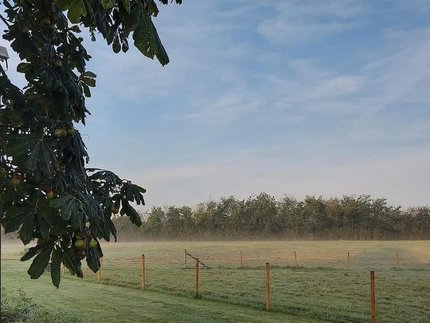 Spring in Great Sampford B&B Sorrells farm
