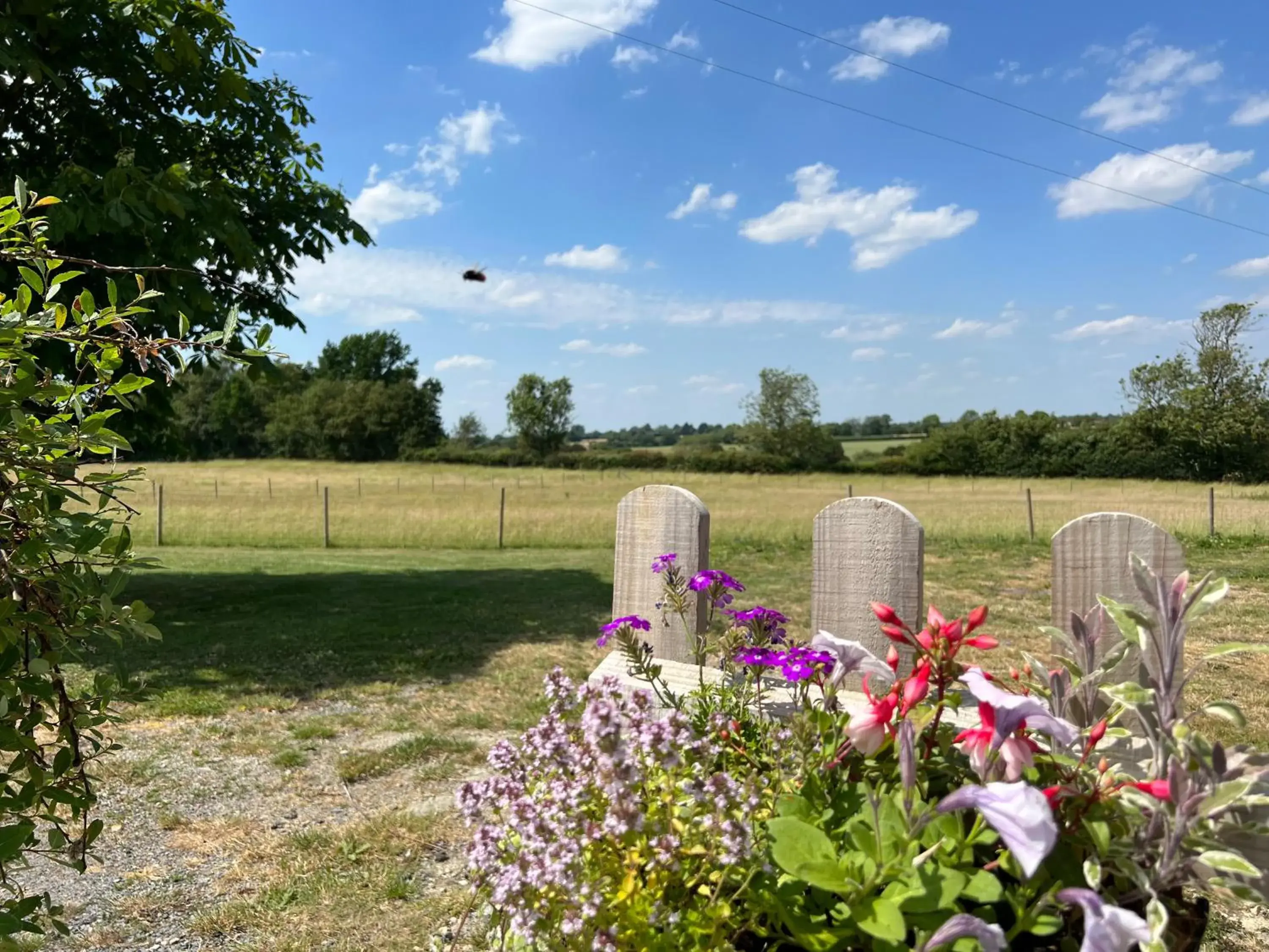 Double Room with Private Bathroom in Great Sampford B&B Sorrells farm Double Room with Private Bathroom in Great Sampford B&B Sorrells farm