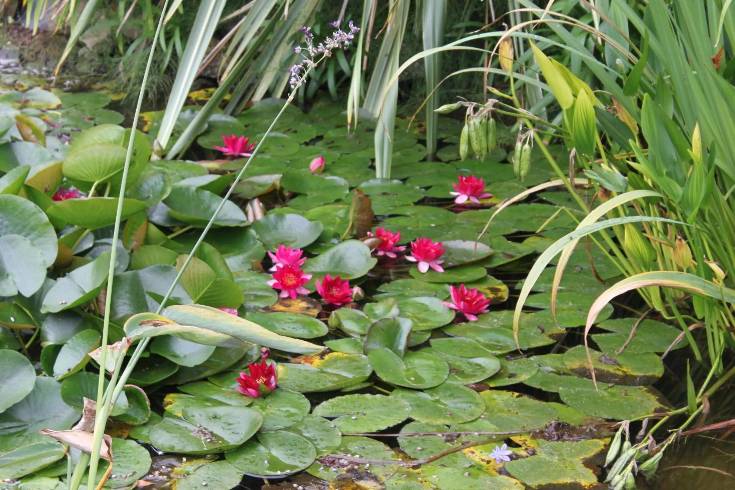 Natural landscape in Hotel Des Bains