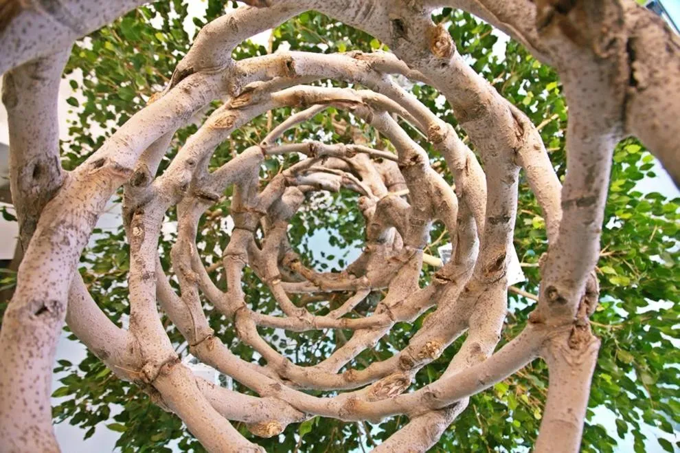 Other in Foglie D' Acqua