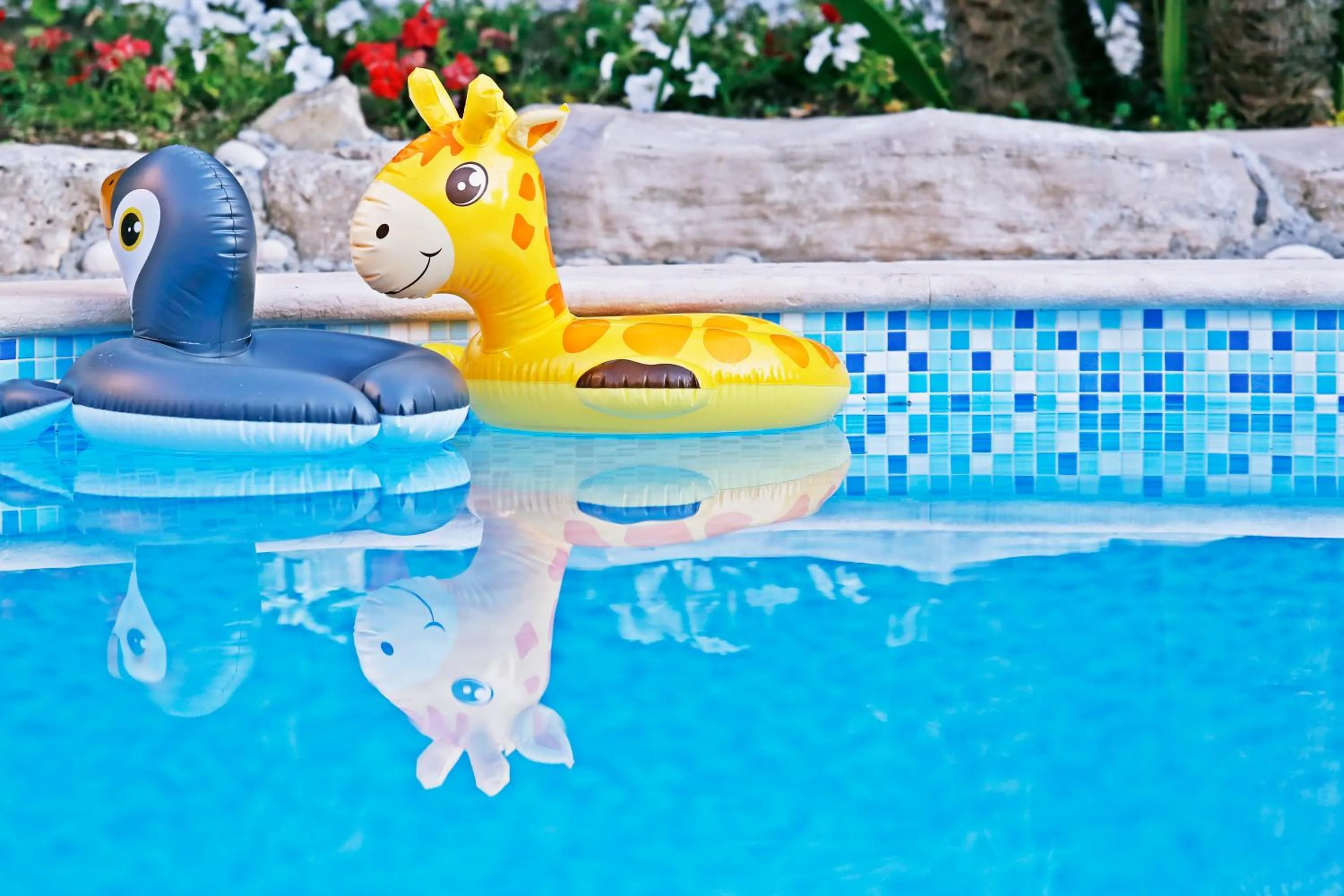 Activities in Foglie D' Acqua