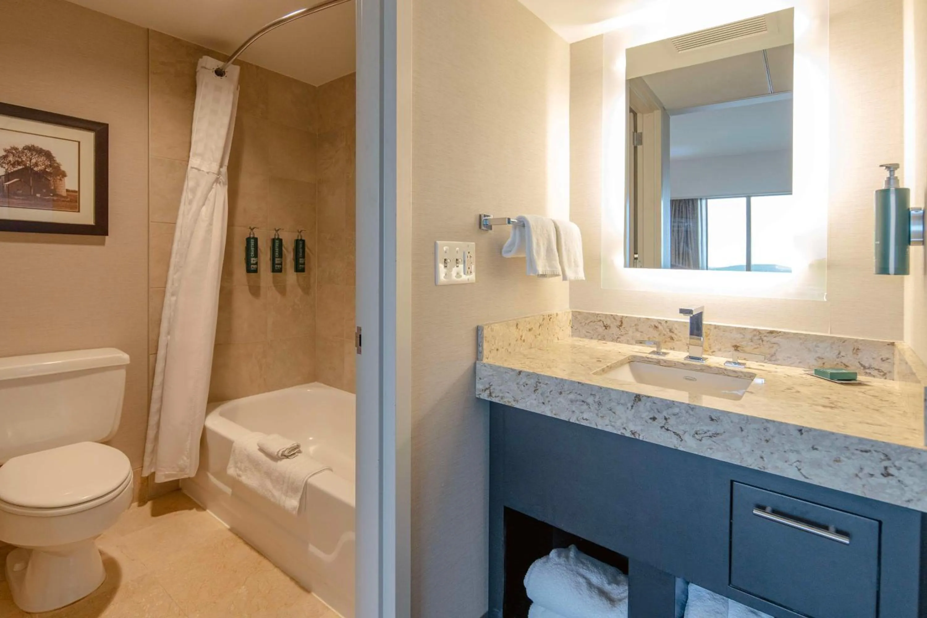 Bathroom in DoubleTree by Hilton Hotel Cedar Rapids Convention Complex