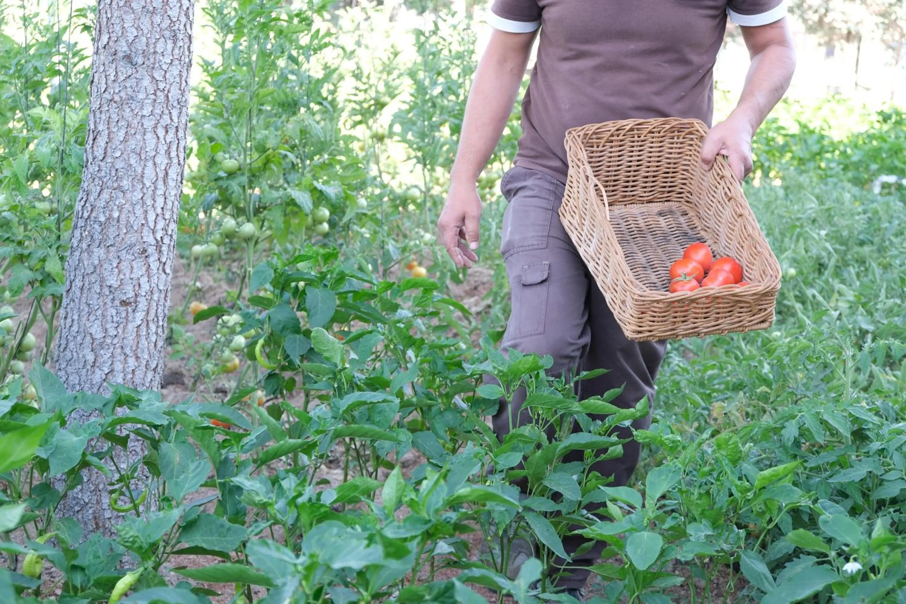 Garden in SIGNATURE GARDEN AVANOS Hotel & SPA