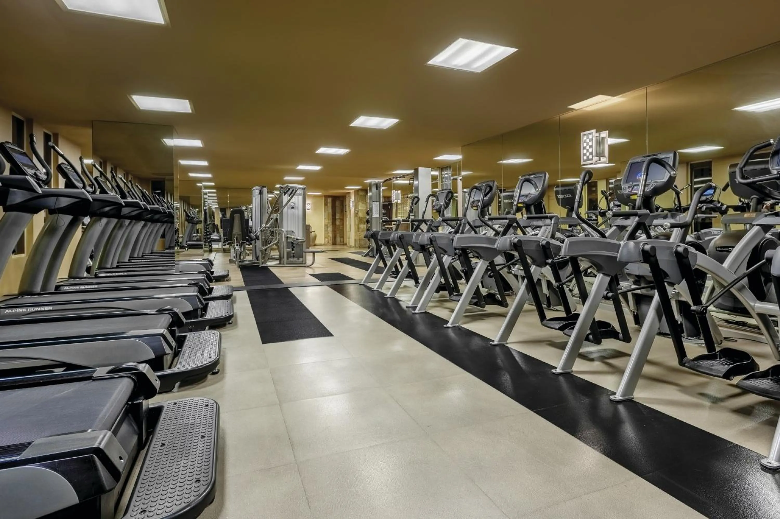 Fitness centre/facilities in New York-New York