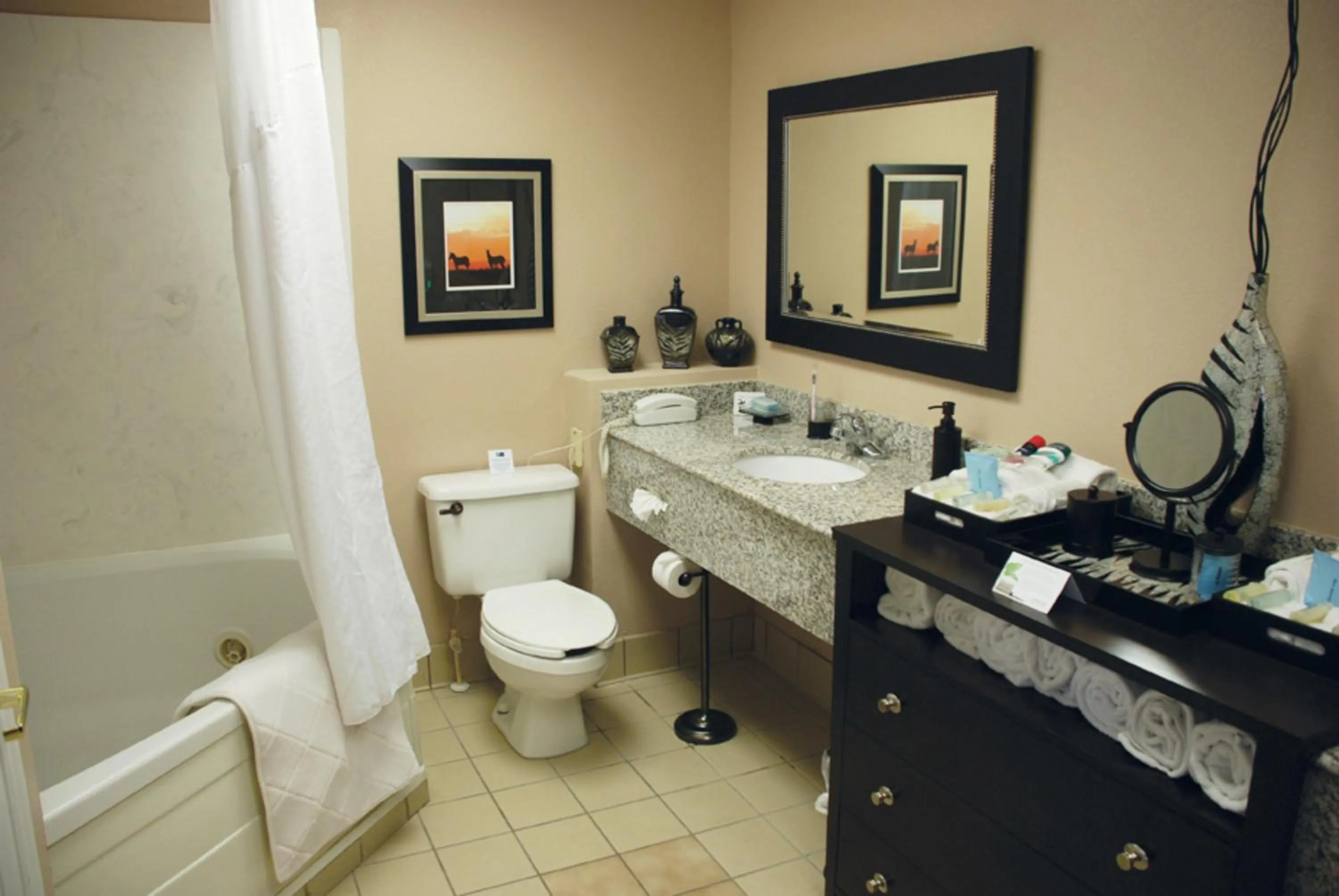Bathroom in Comfort Inn & Suites Asheboro East