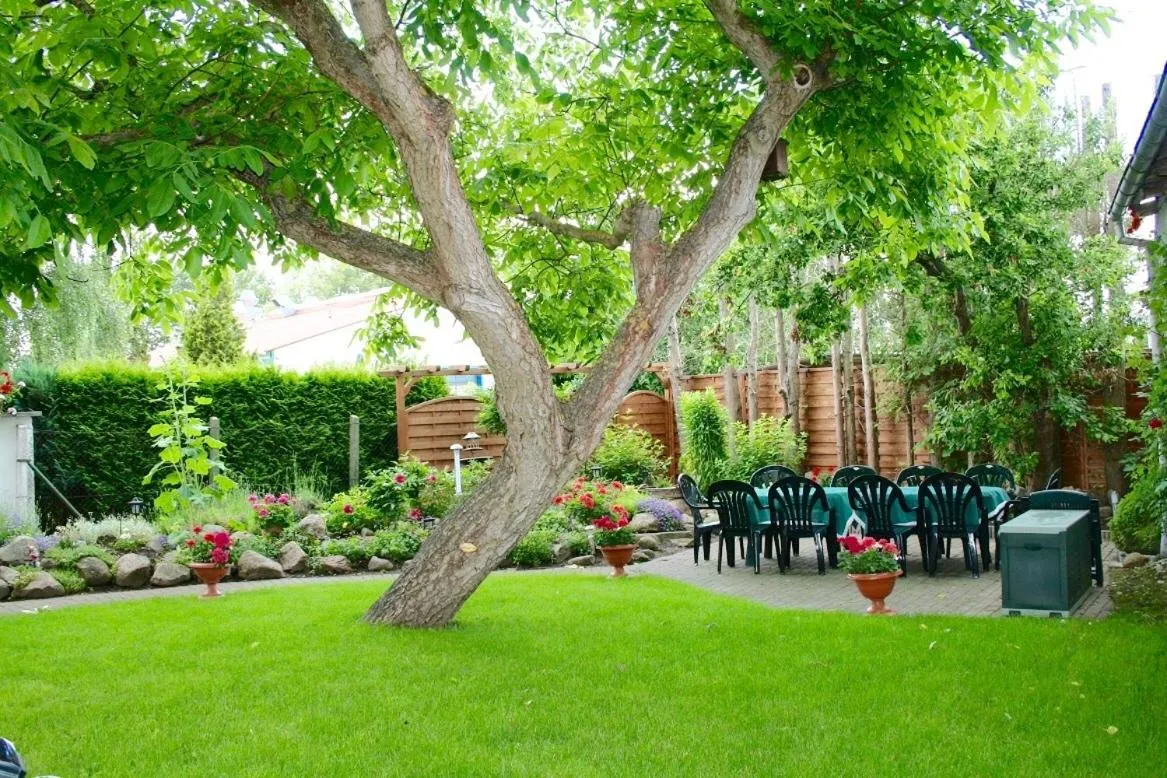 Patio in Hotel & Pension Villa Camenz