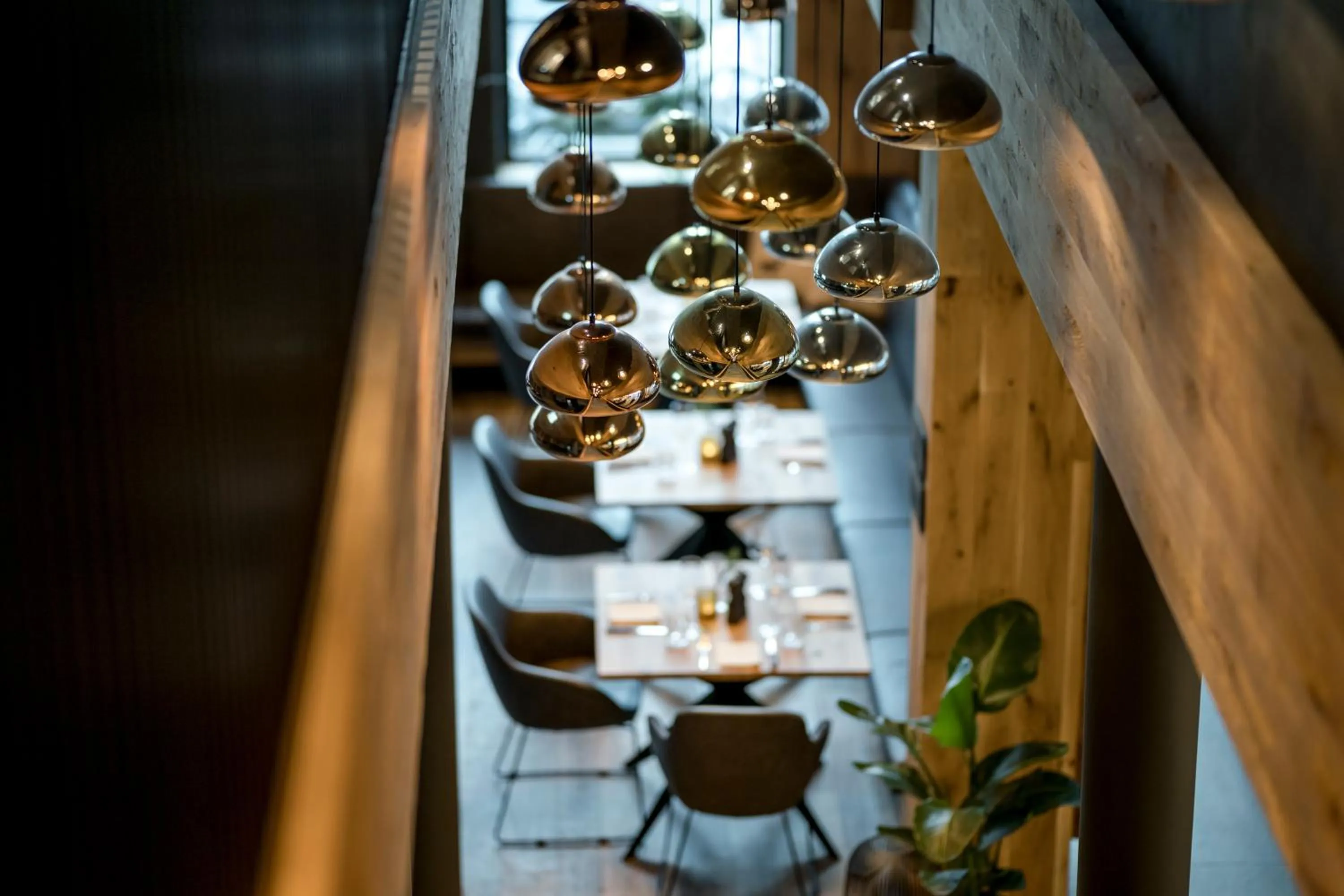 Restaurant/places to eat in WITTMANNs