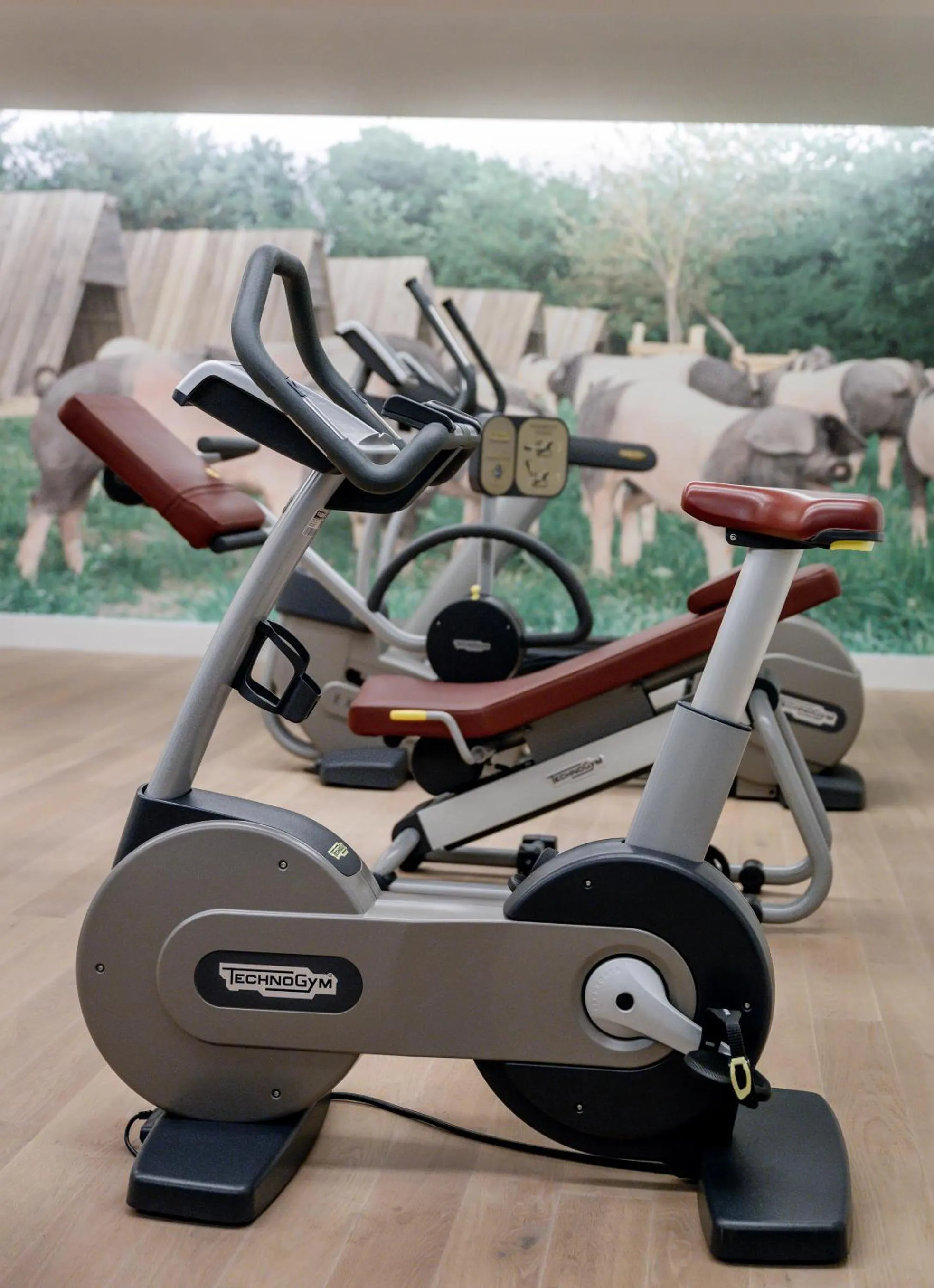 Fitness centre/facilities in WITTMANNs