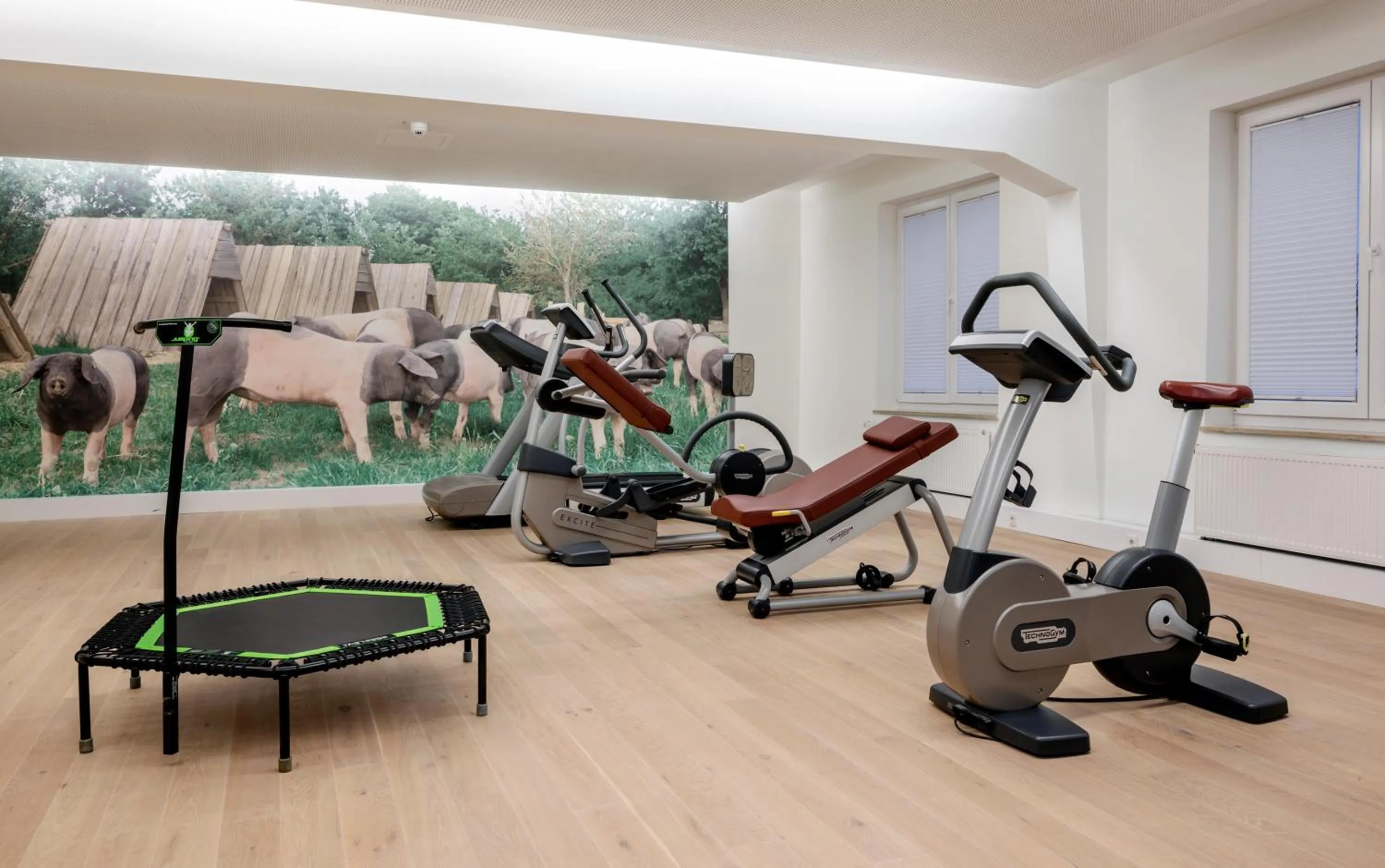 Fitness centre/facilities in WITTMANNs