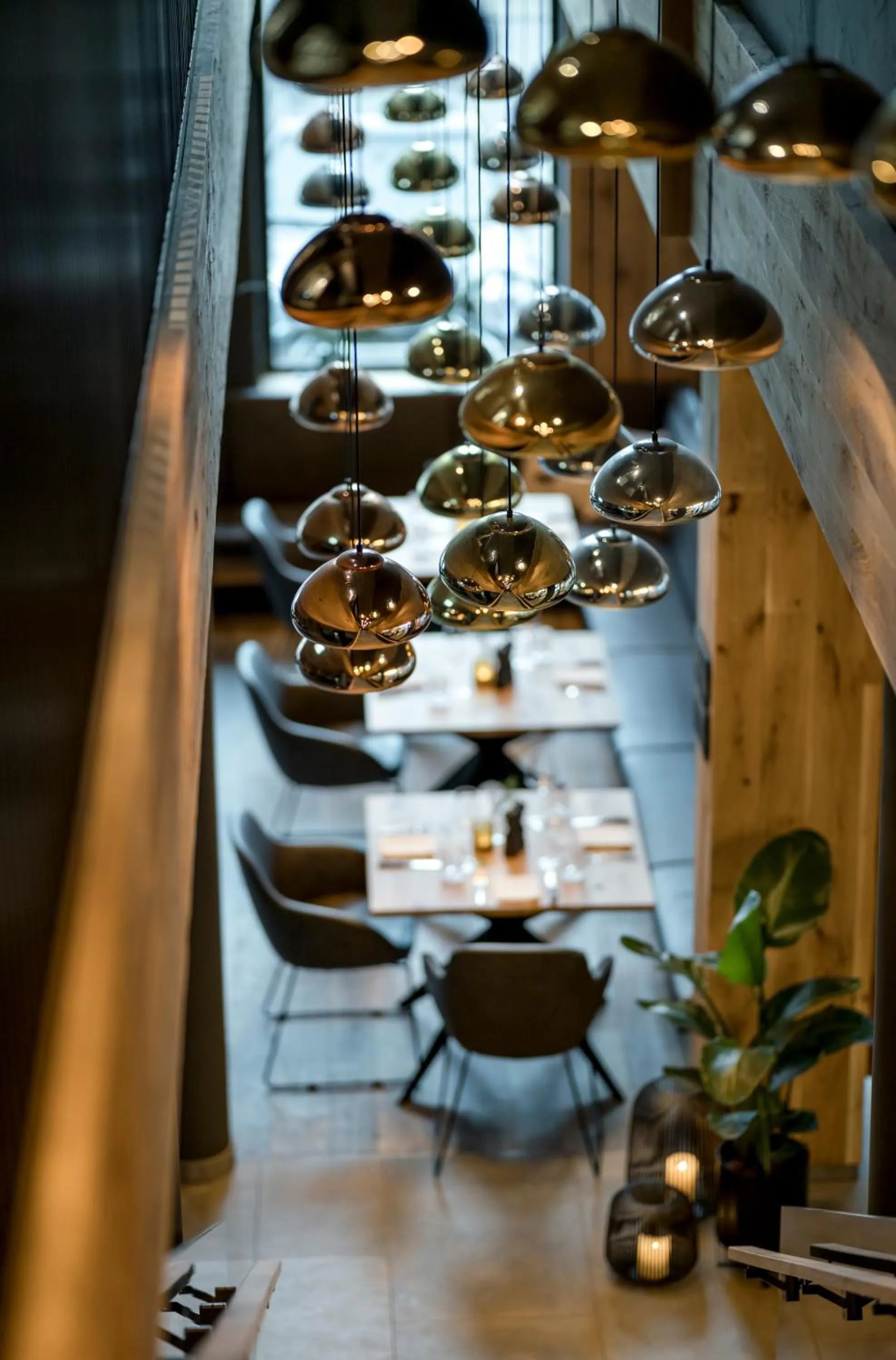 Restaurant/places to eat in WITTMANNs