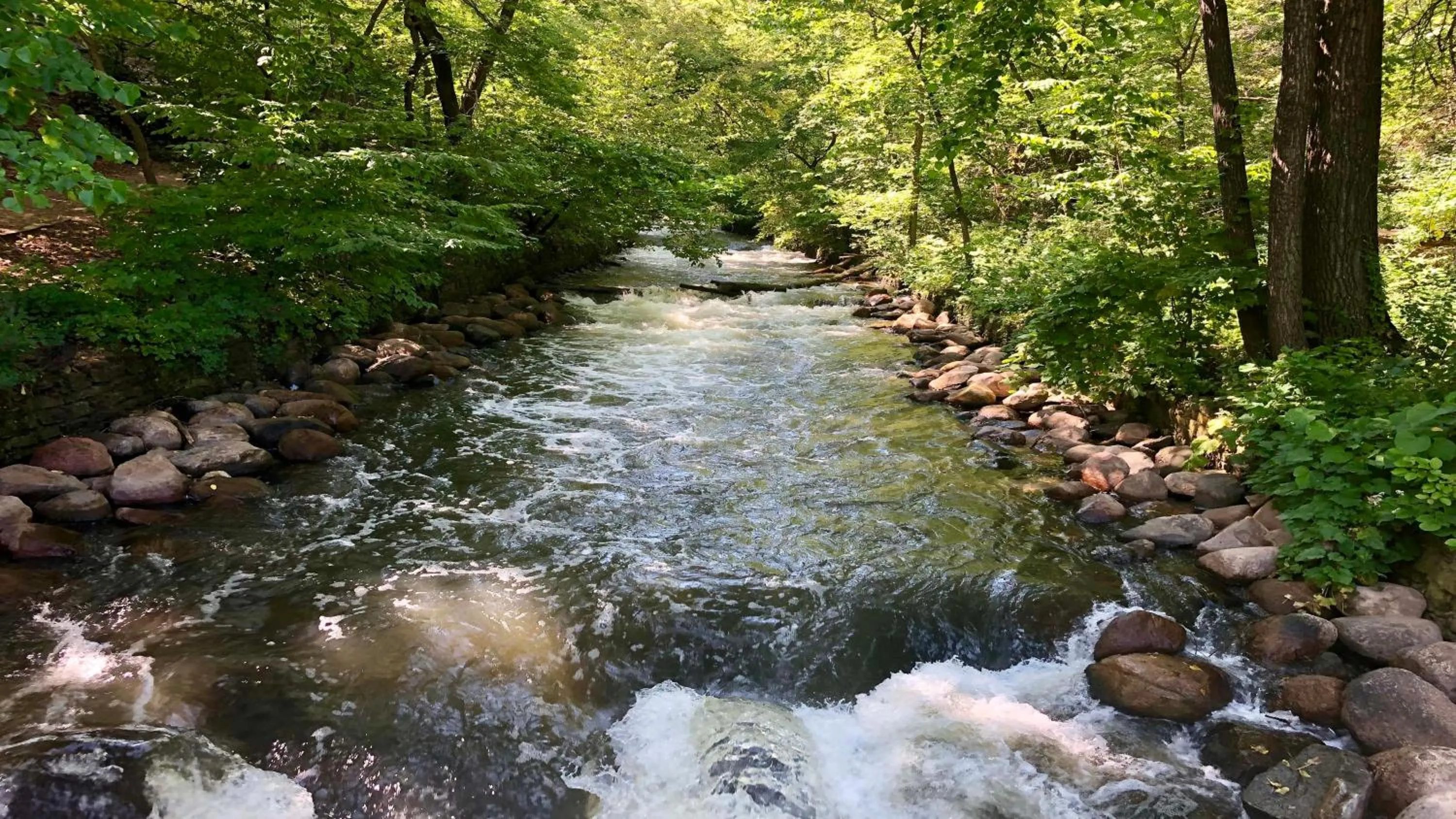 Nearby landmark in Crowne Plaza Suites MSP Airport - Mall of America by IHG