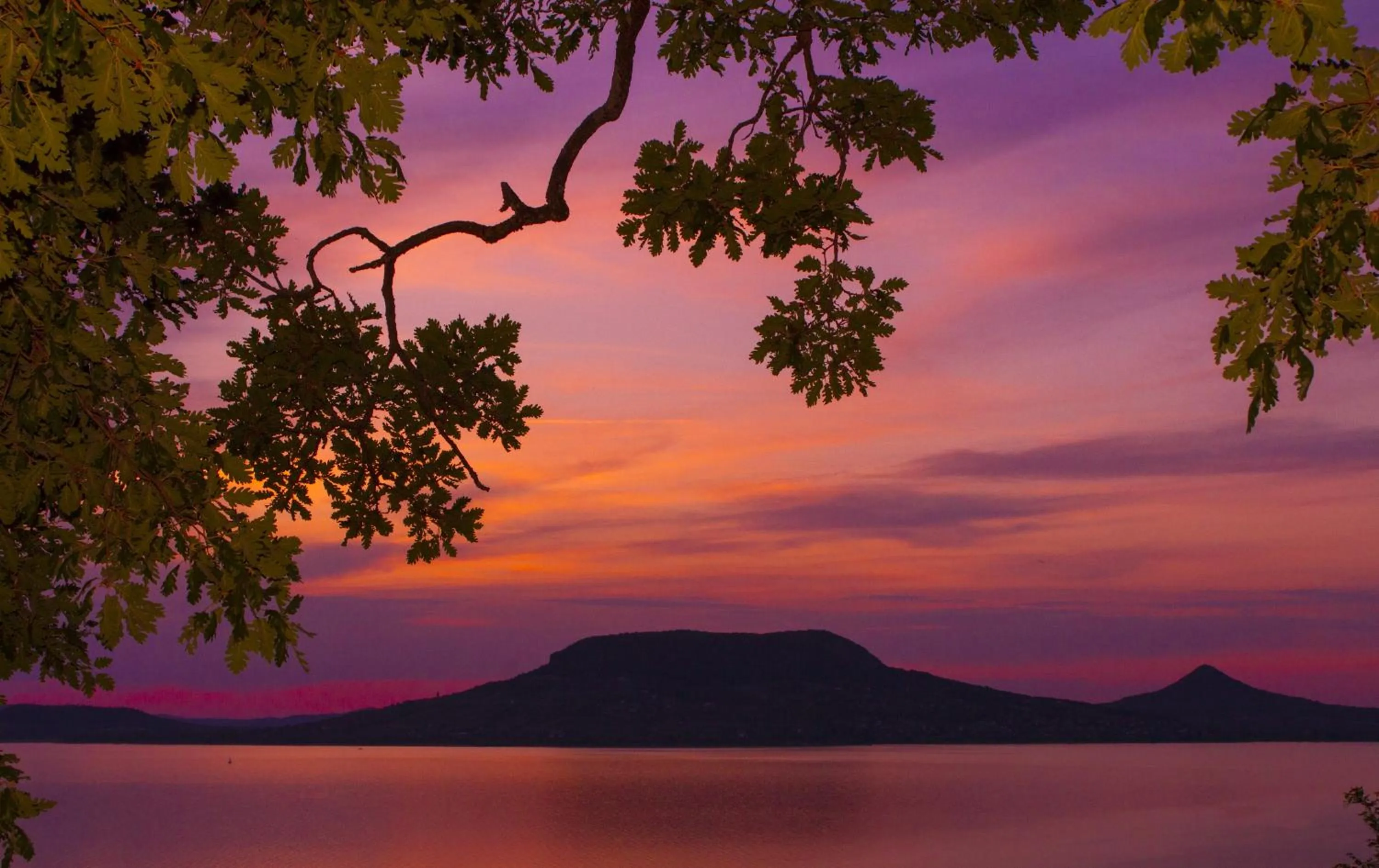 Fenyves Yacht Club Superior