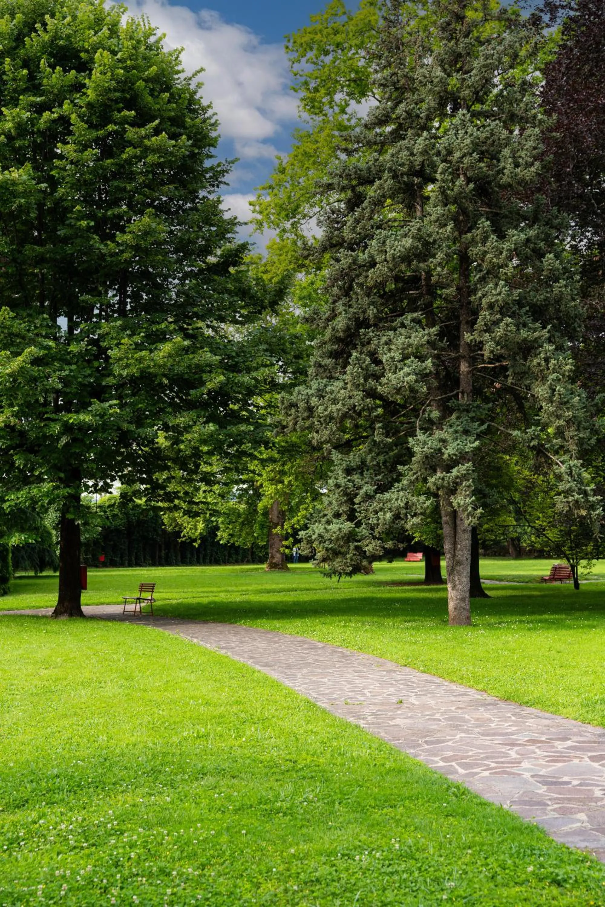Natural landscape in Hotel San Pancrazio
