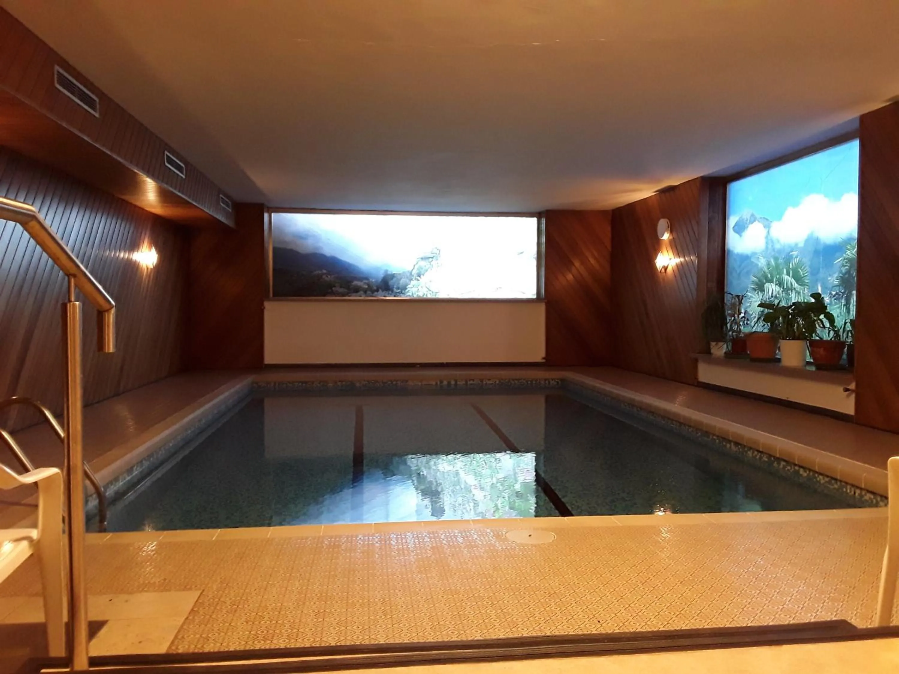 Swimming pool in Hotel Haselried