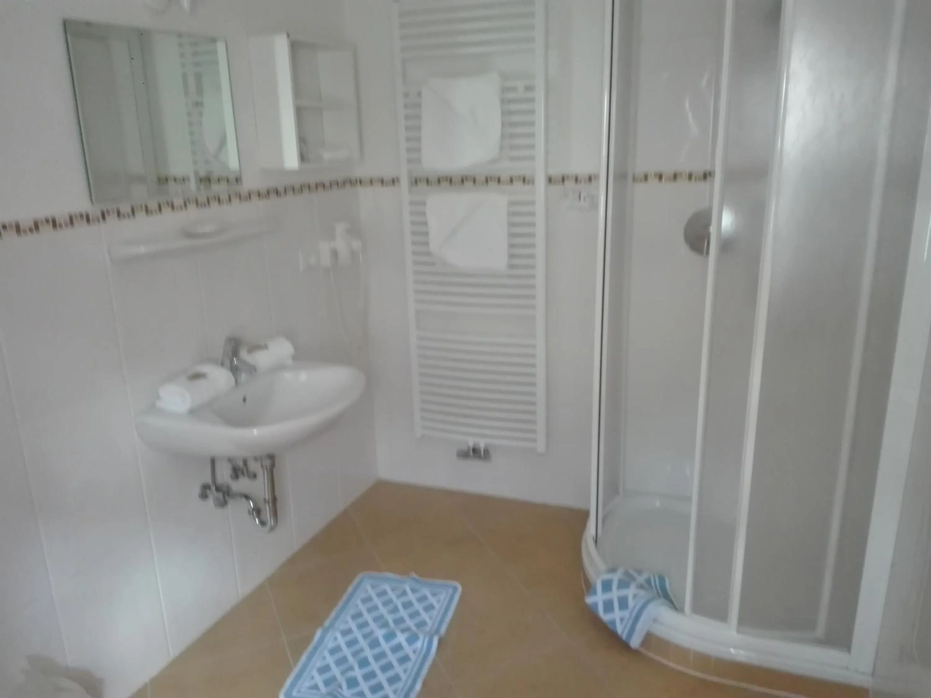 Bathroom in Hotel Haselried