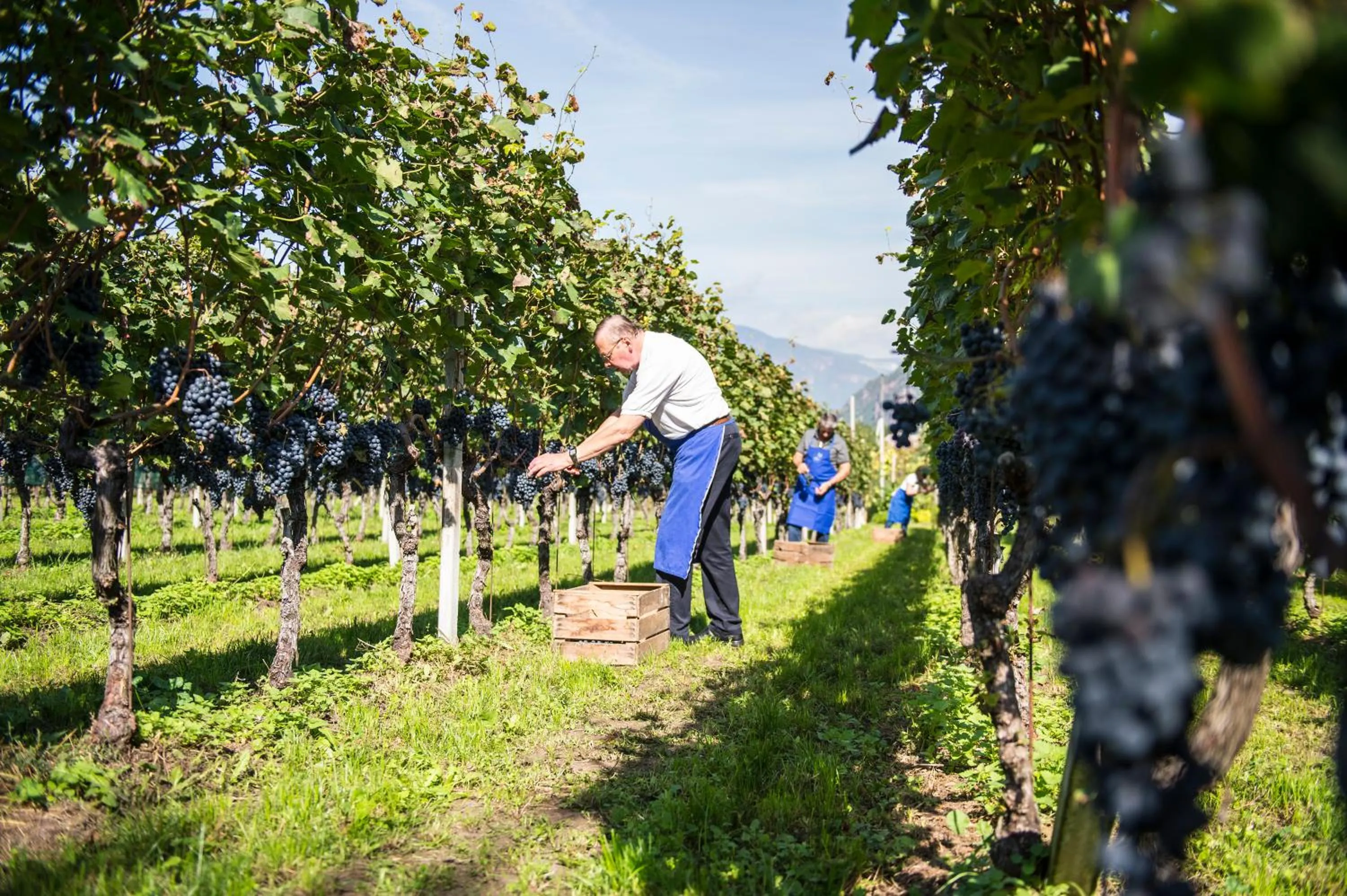 Off site in Hotel CampingPark Steiner