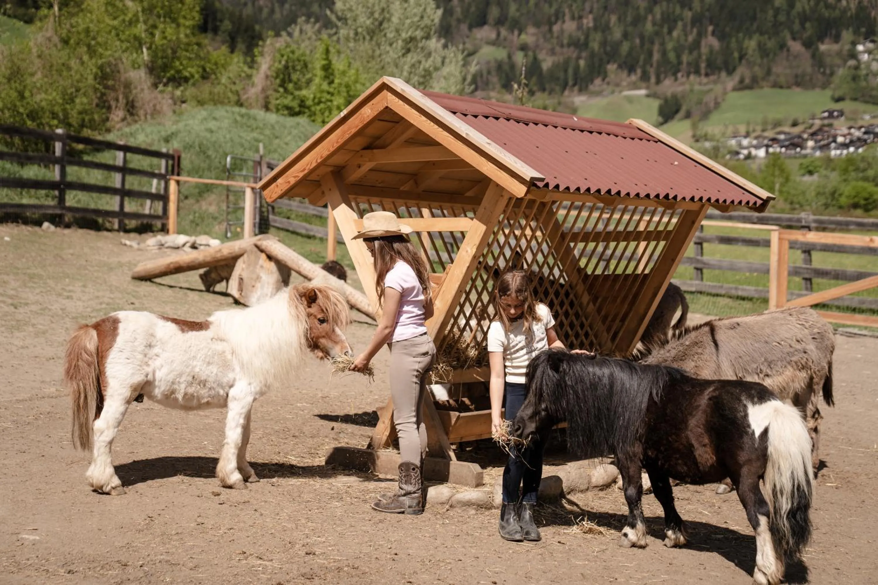 Animals in Stroblhof Active Family Spa Resort