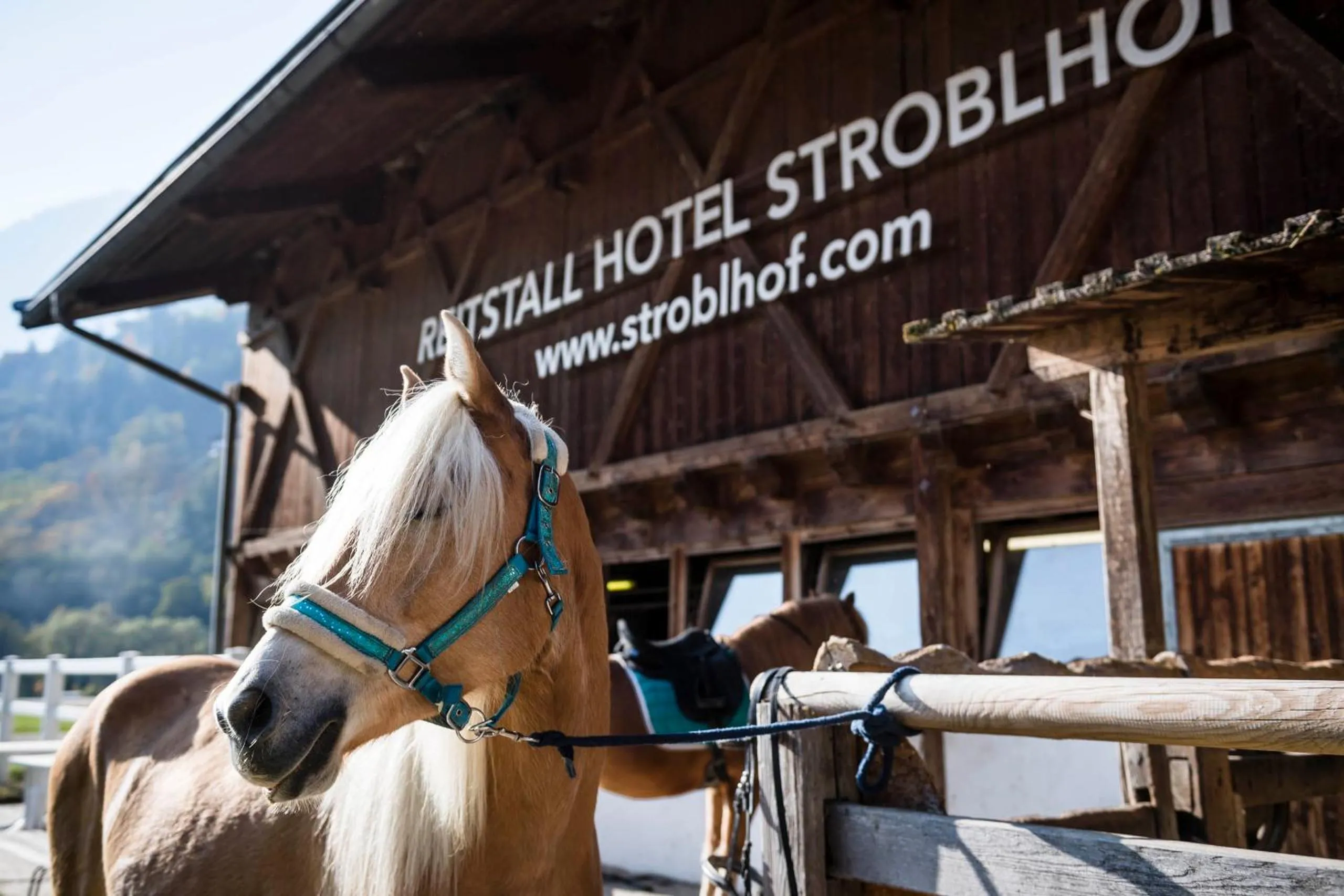 Horse-riding in Stroblhof Active Family Spa Resort