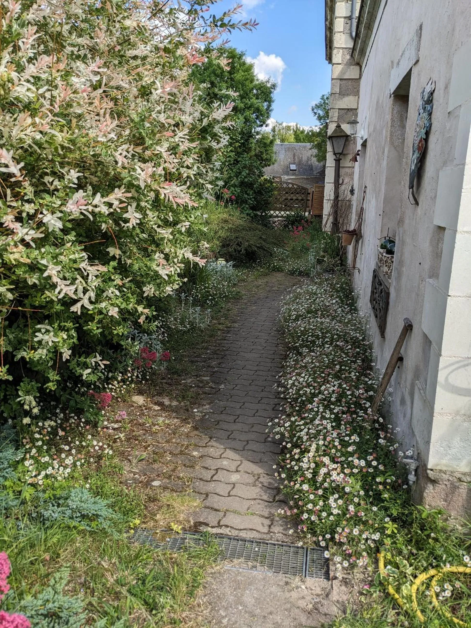 Garden in Loge & Broc