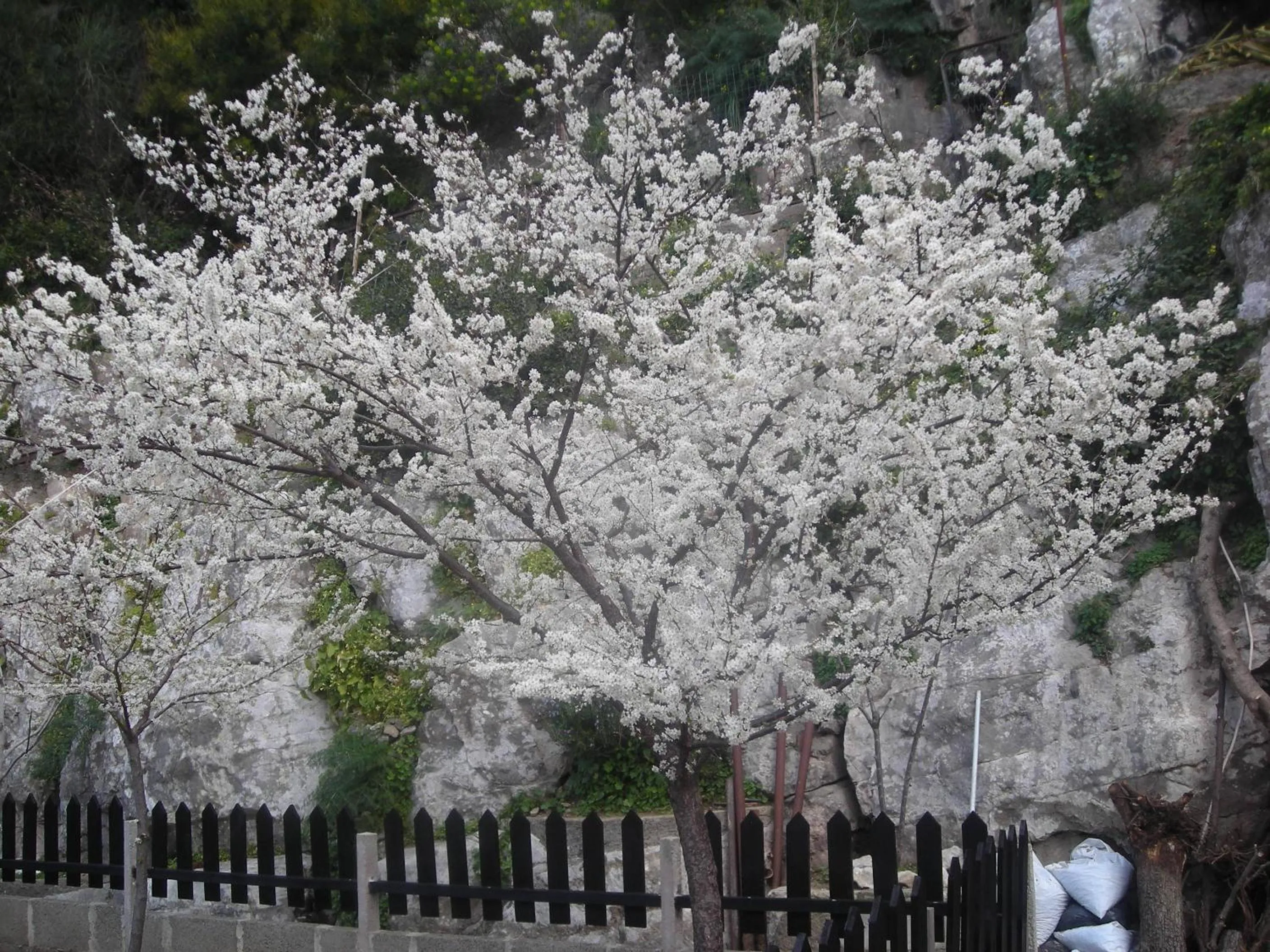 Garden in B&B L'Arcobaleno