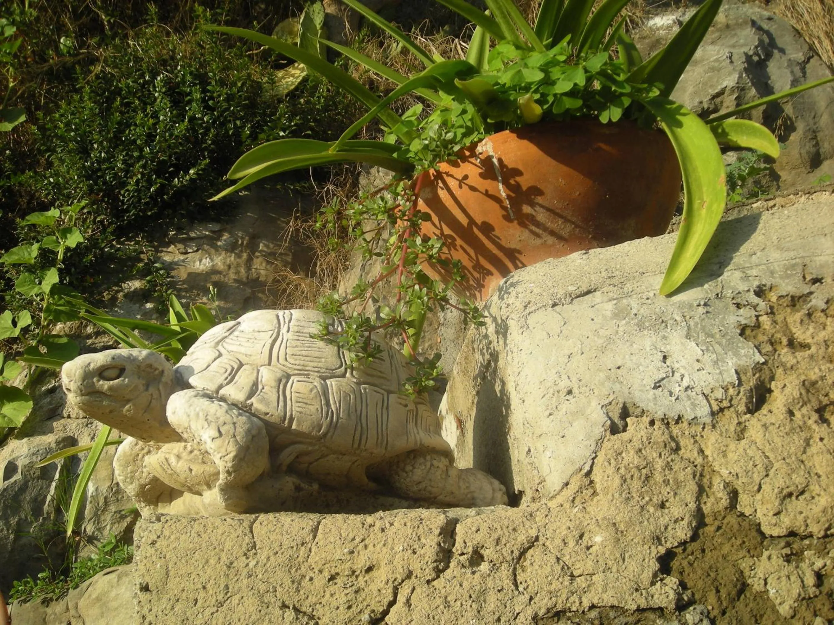 Decorative detail in B&B L'Arcobaleno