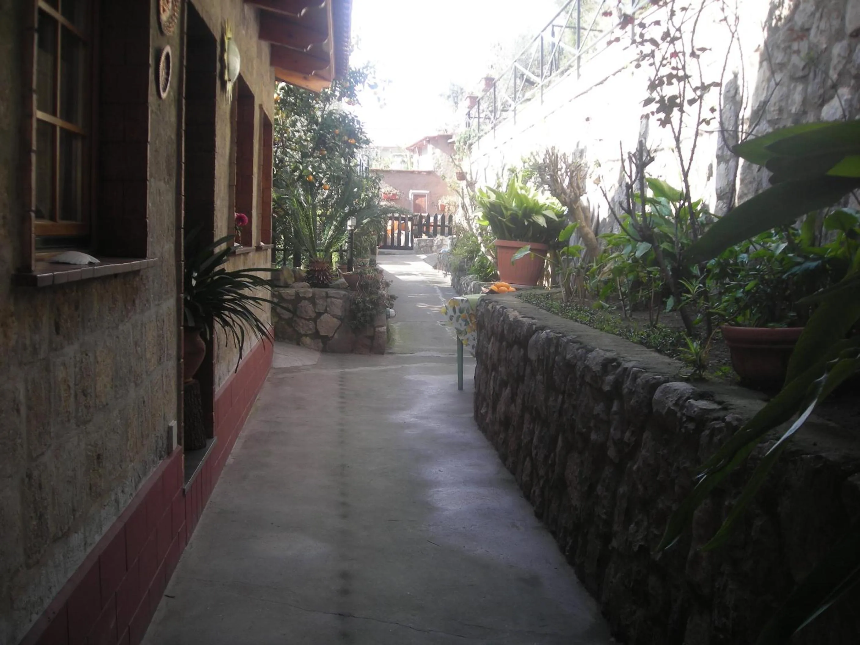 Garden in B&B L'Arcobaleno