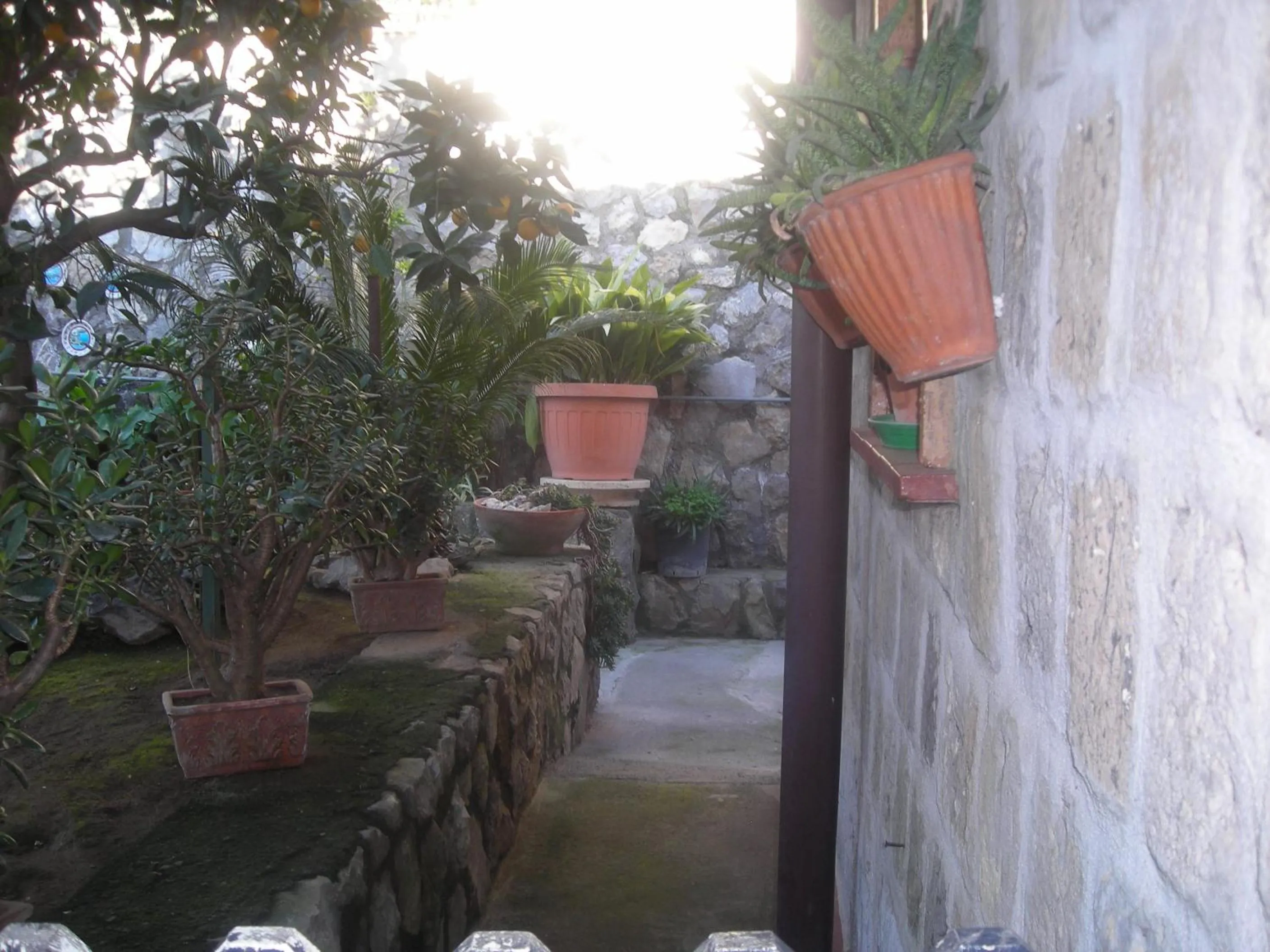Garden in B&B L'Arcobaleno